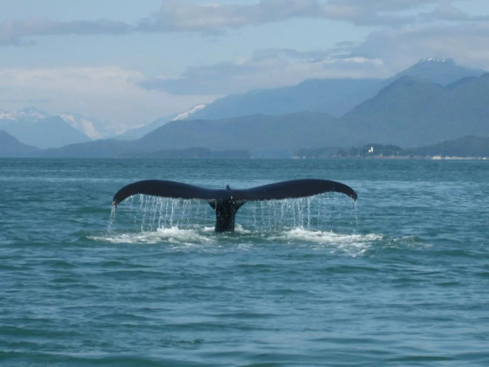 Alaska Chalet Bed & Breakfast