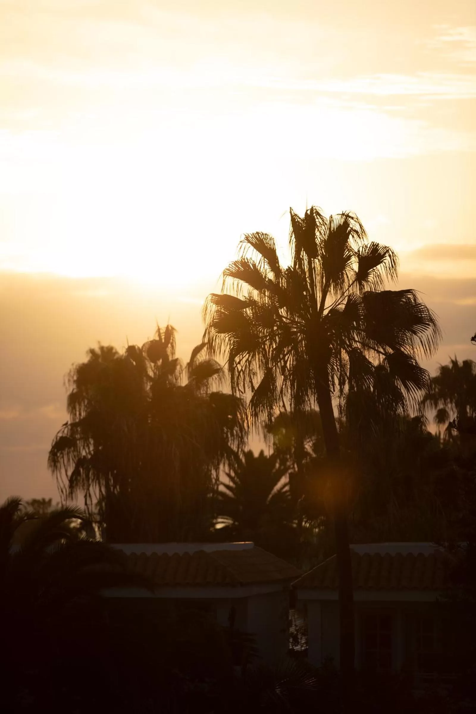 Natural landscape in Fuentepark Apartments