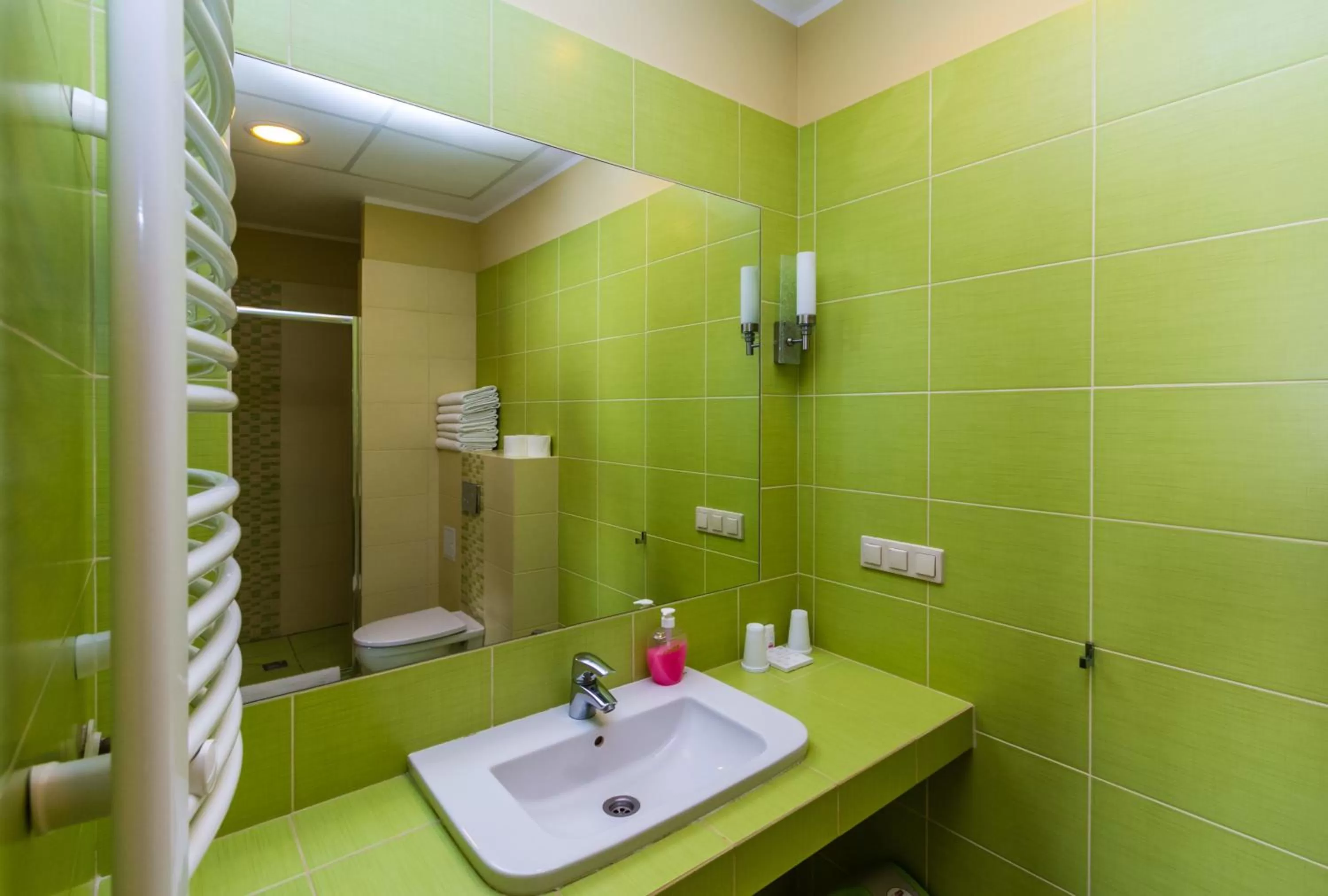 Bathroom in Folwark Żuławski