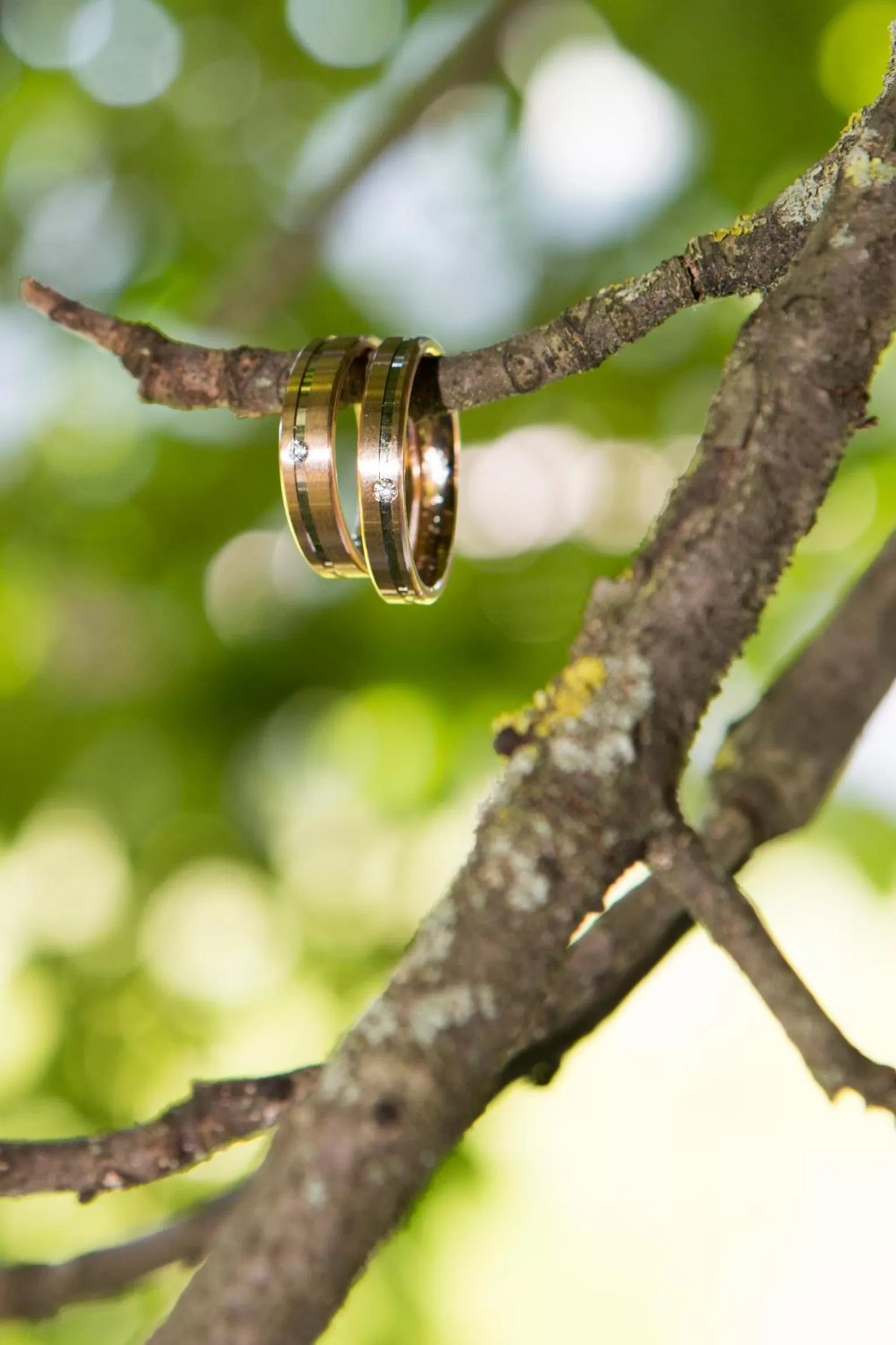 Other in Scheffer's Hotel