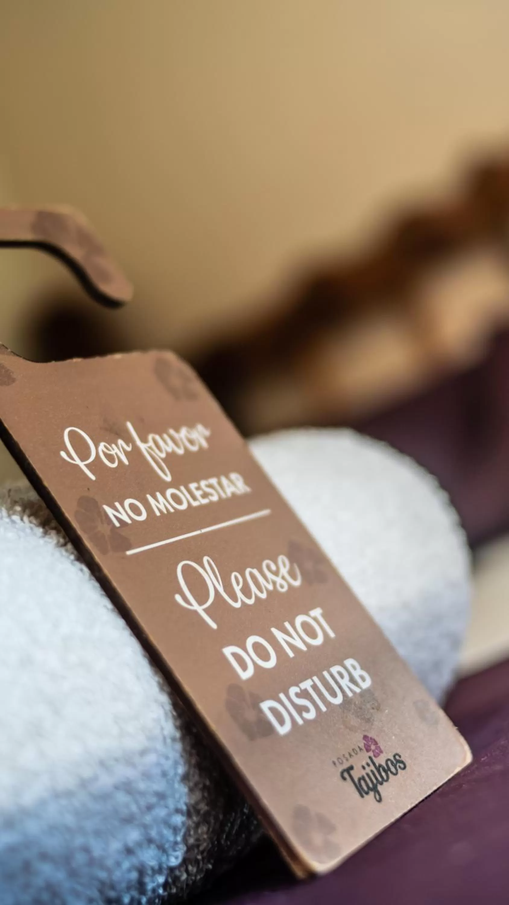 Decorative detail in Posada Los Tajibos