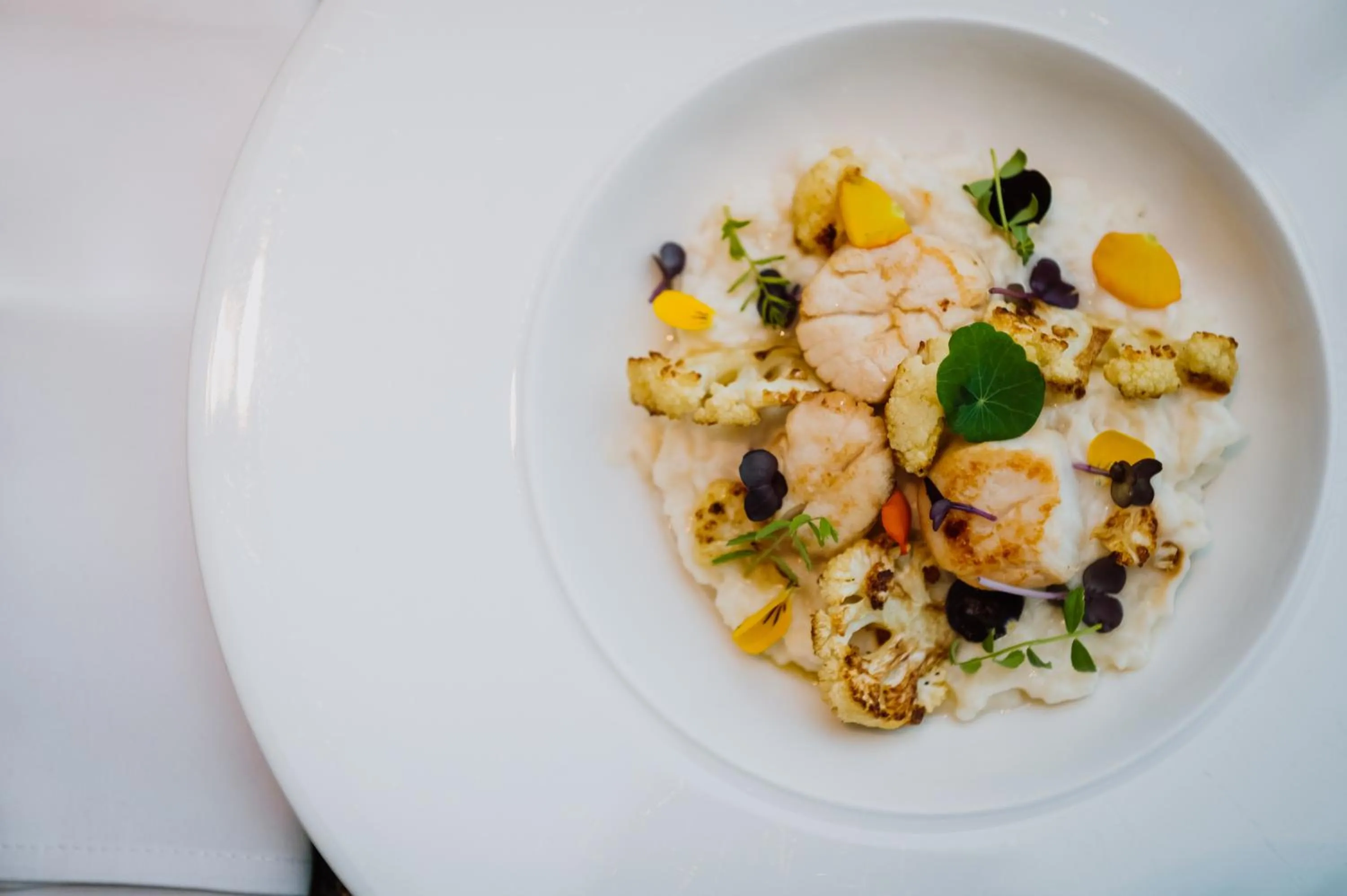 Food and drinks in Hotel Privo