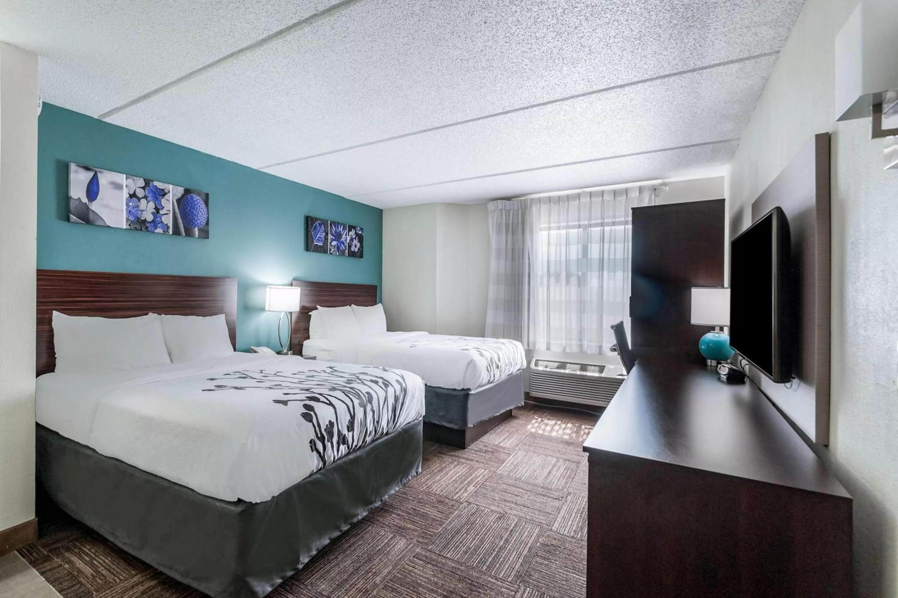 TV and multimedia, Bed in Sleep Inn & Suites Rehoboth Beach