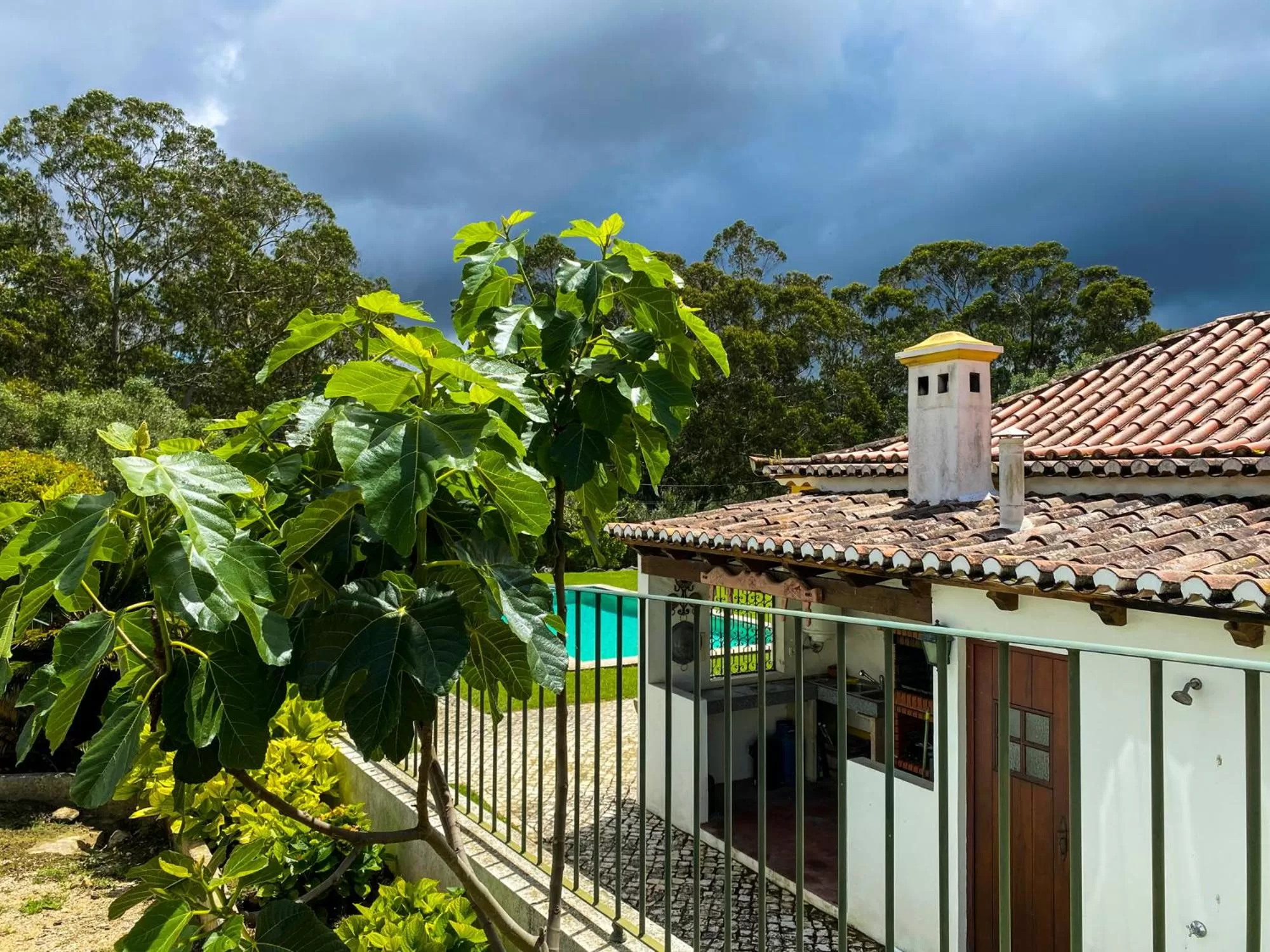 Garden view in Quinta do Pé Descalço - Country Guesthouse in Sintra