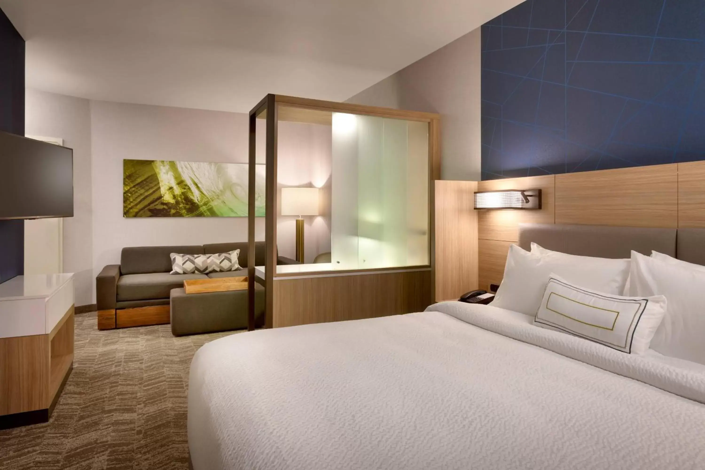 SpringHill Suites by Marriott Idaho Falls SpringHill Suites by Marriott Idaho Falls