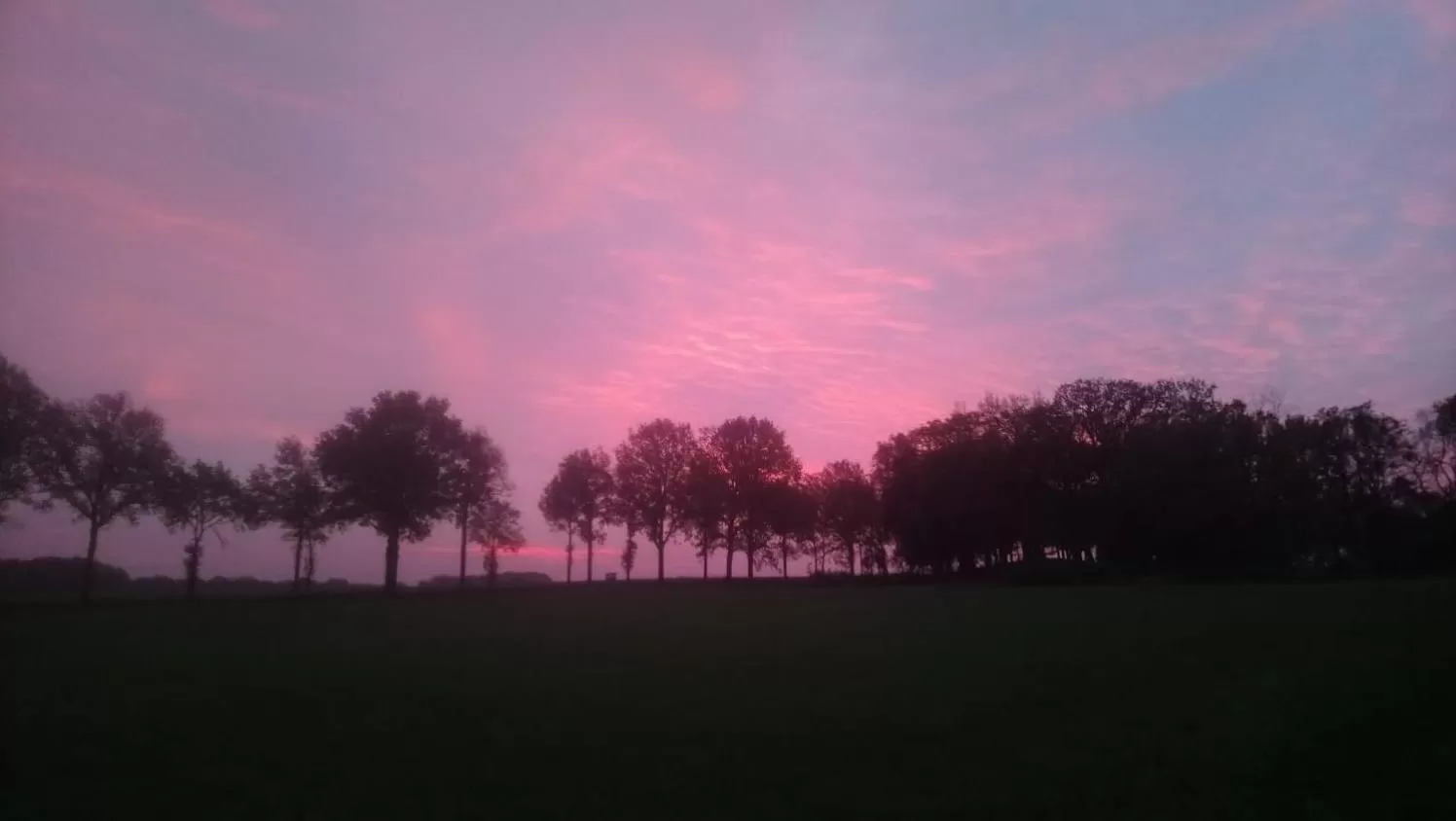 View (from property/room) in 't Rond Bargie