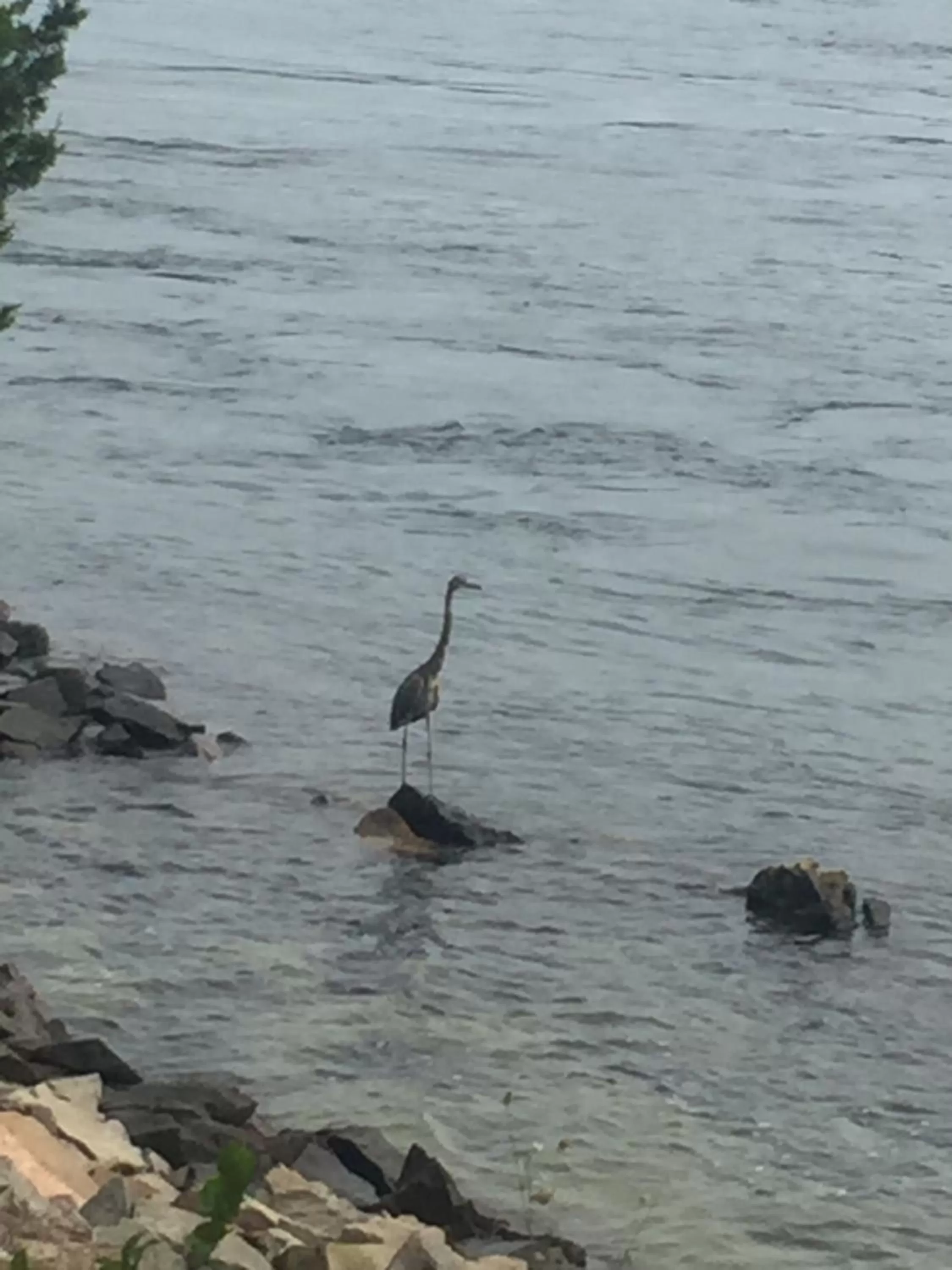 Inn 38 Oak Bluff Circle