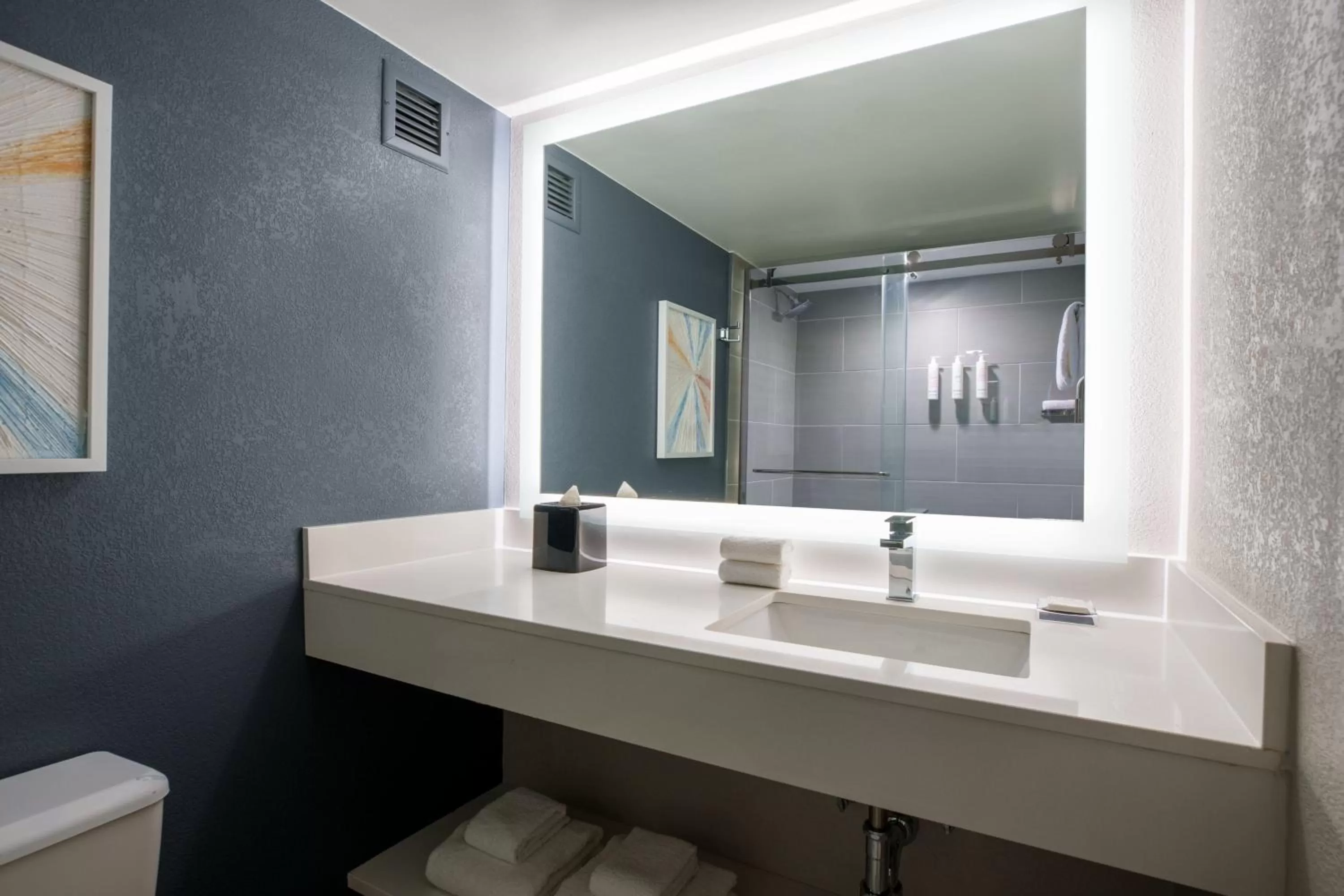 Bathroom in Marriott Columbia