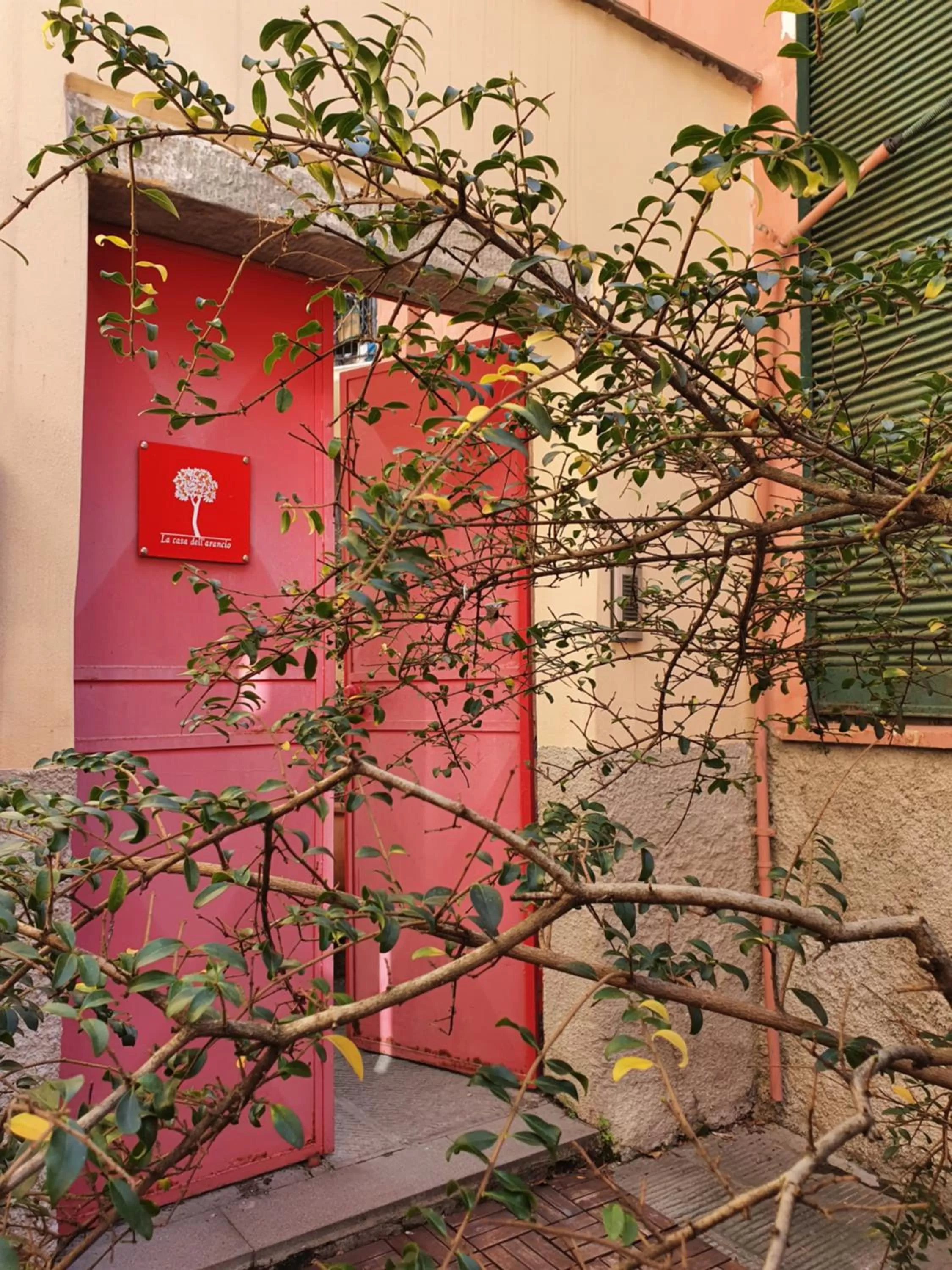 Facade/entrance in Boutique Hotel Novecento