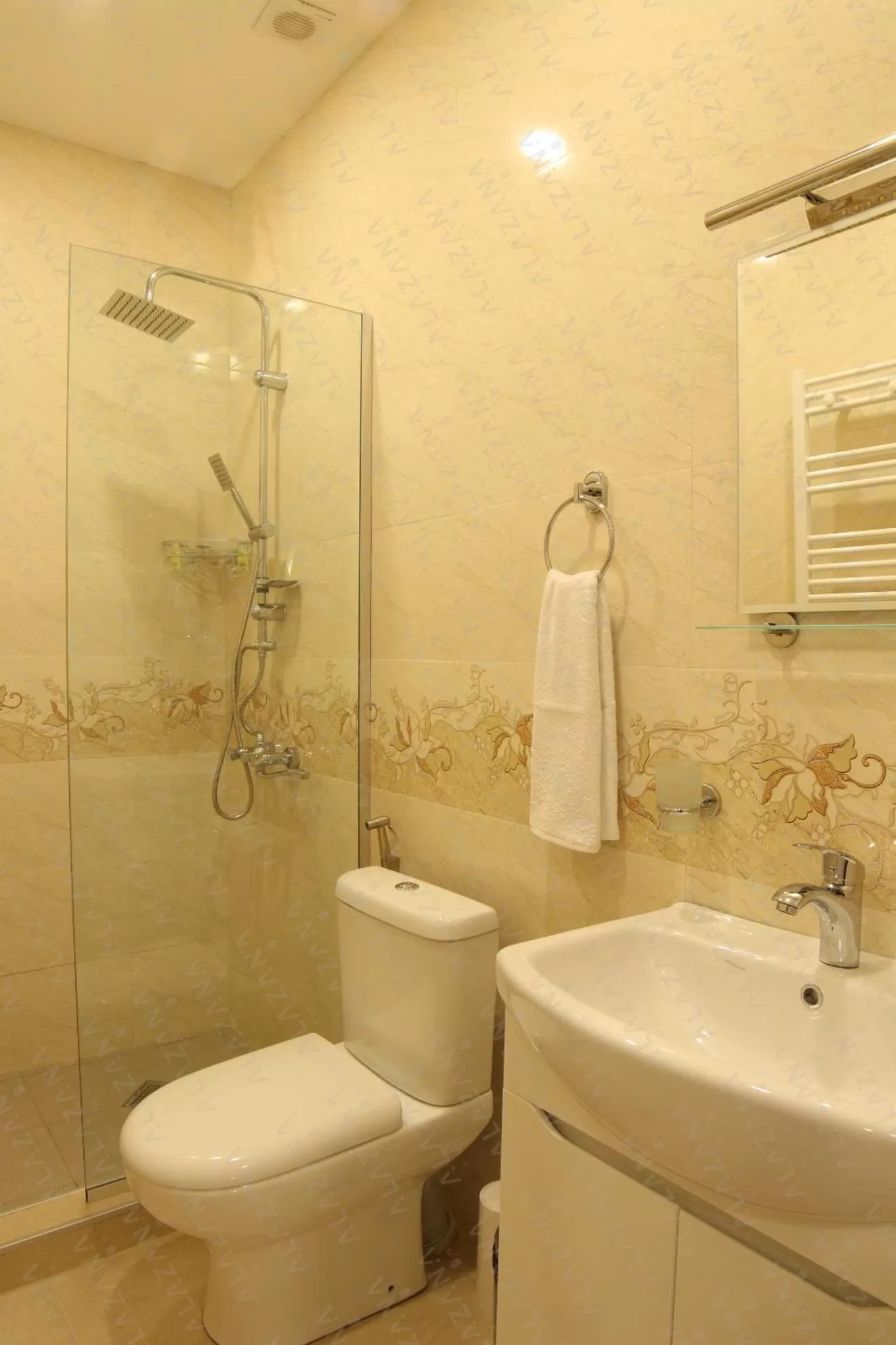 Shower in Irmisa Hotel Tbilisi