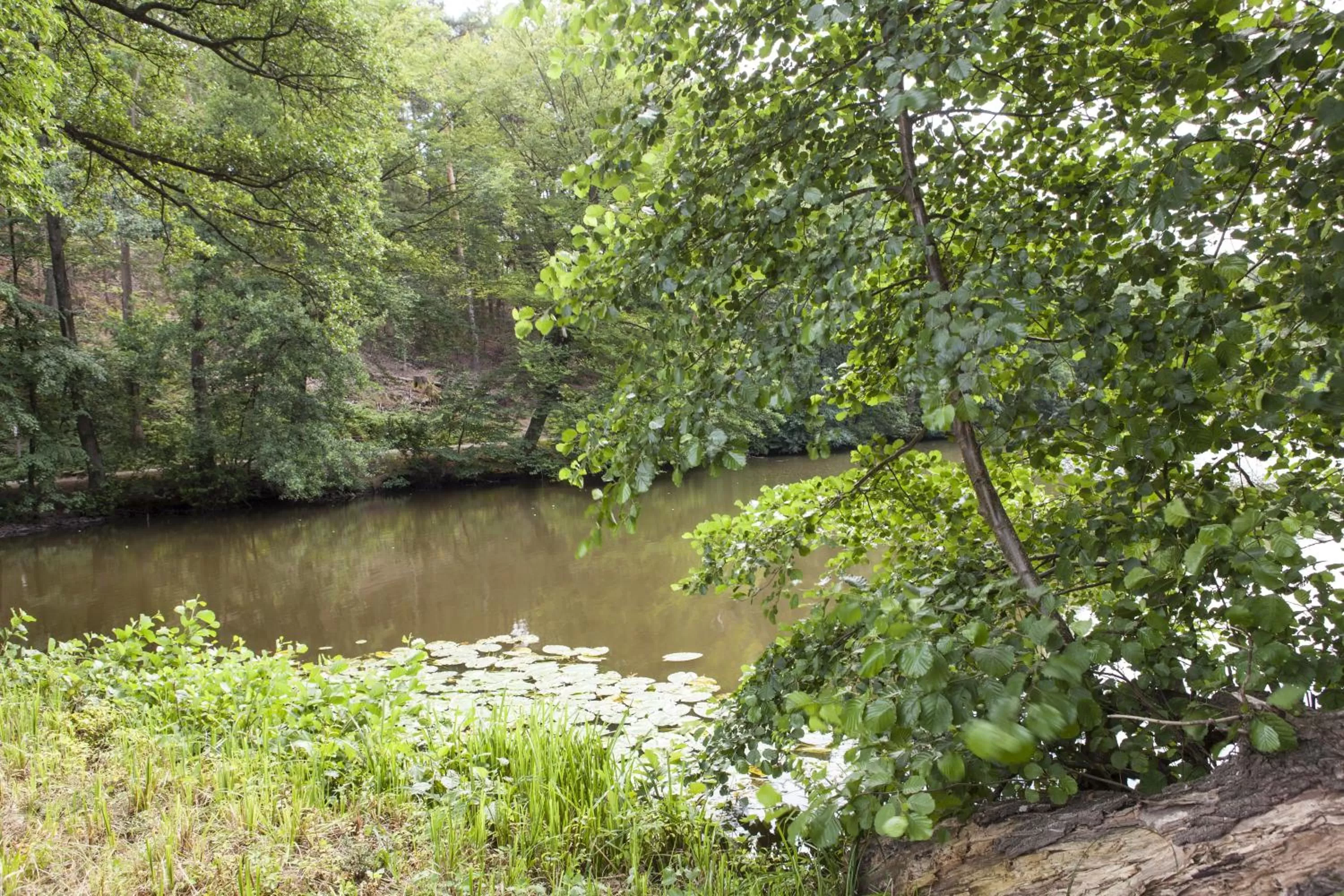 Day in Hotel Blechhammer