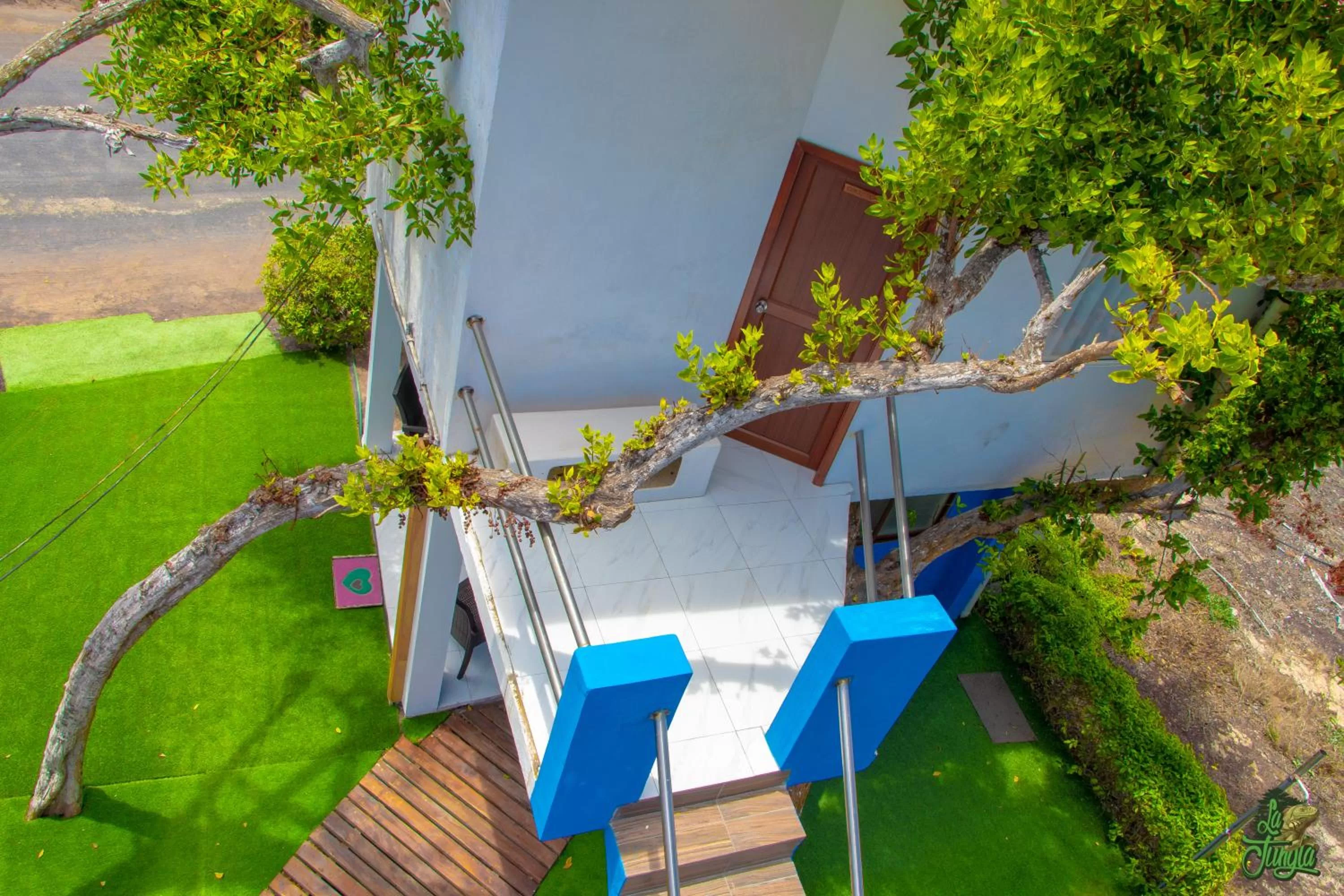 Patio in Hotel La Jungla