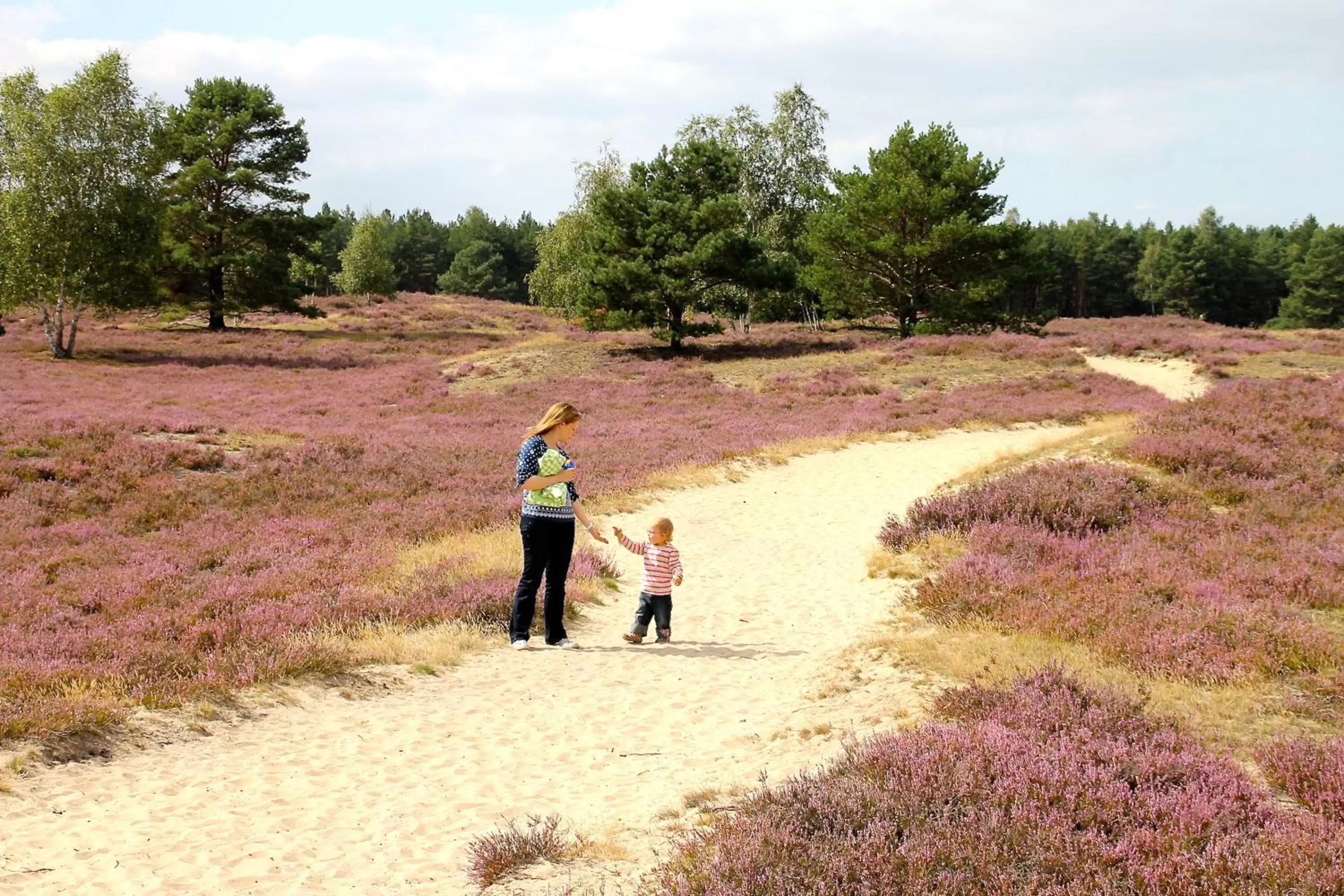 Hiking in Akzent Hotel Berlin