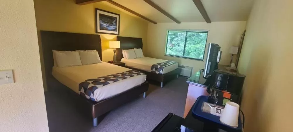 Packwood Lodge & Cabins