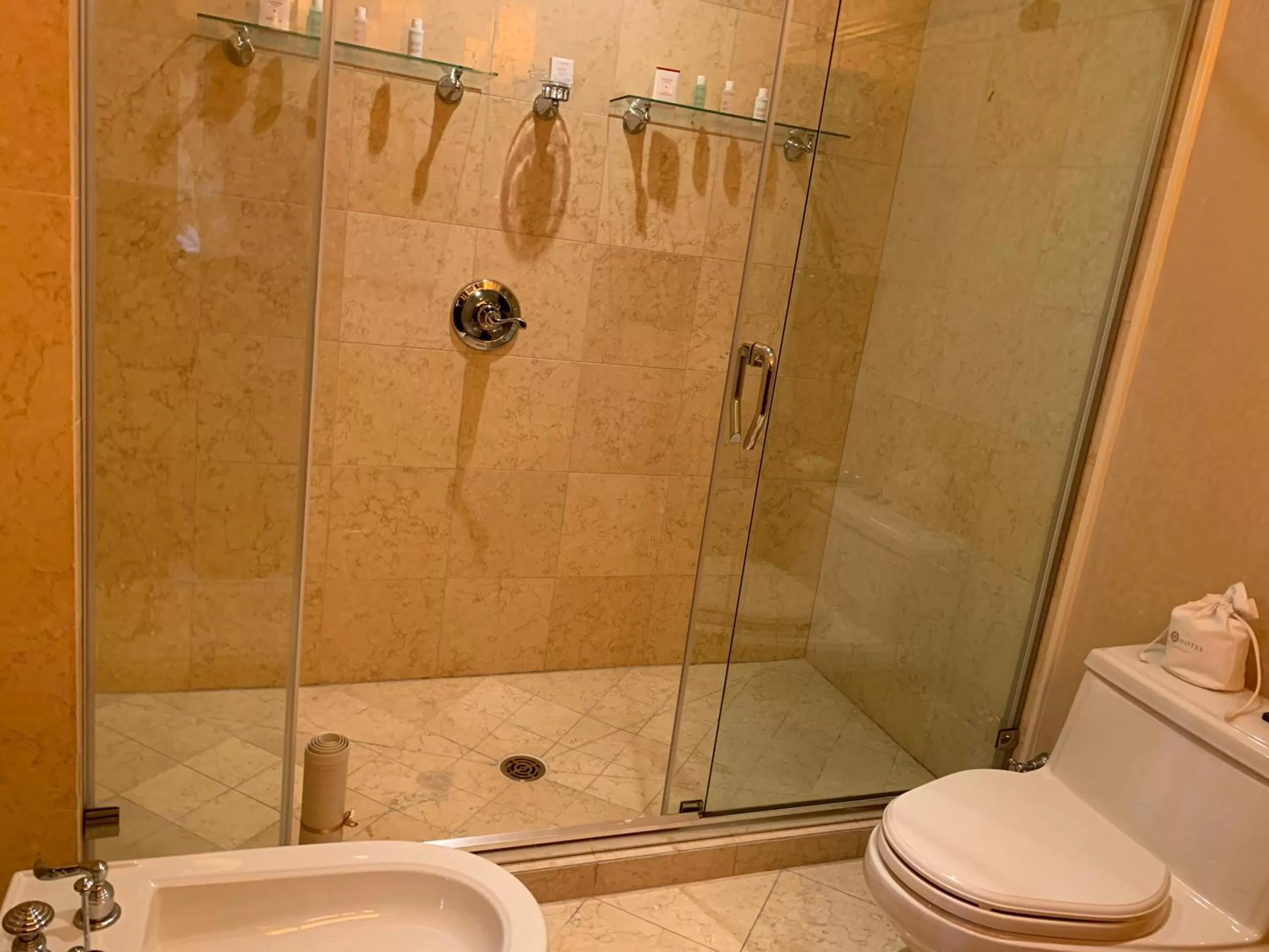 Shower in Terelj Hotel & Spa