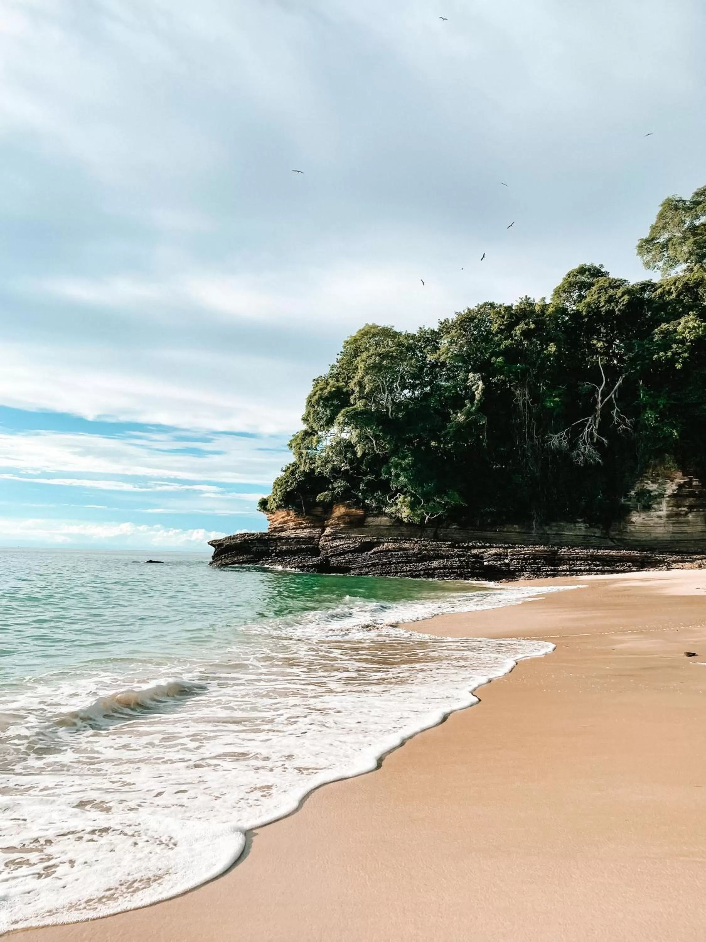 Natural landscape in Saboga Lodge