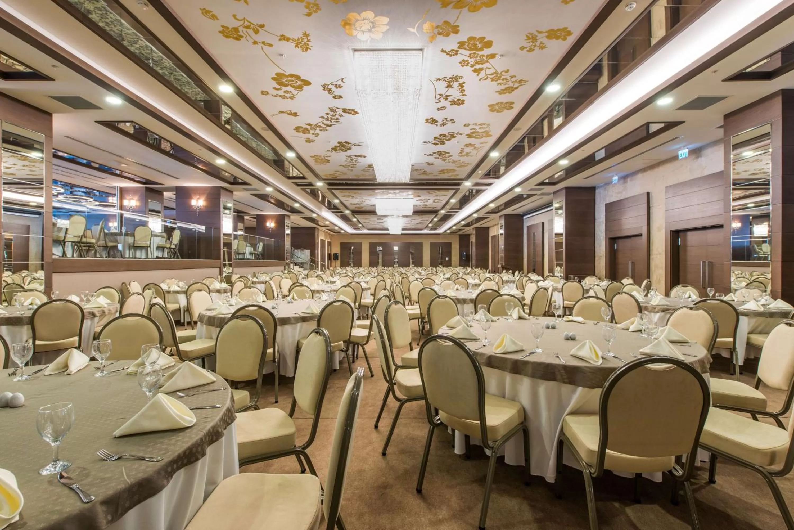 On site in Radisson Blu Hotel, Ordu