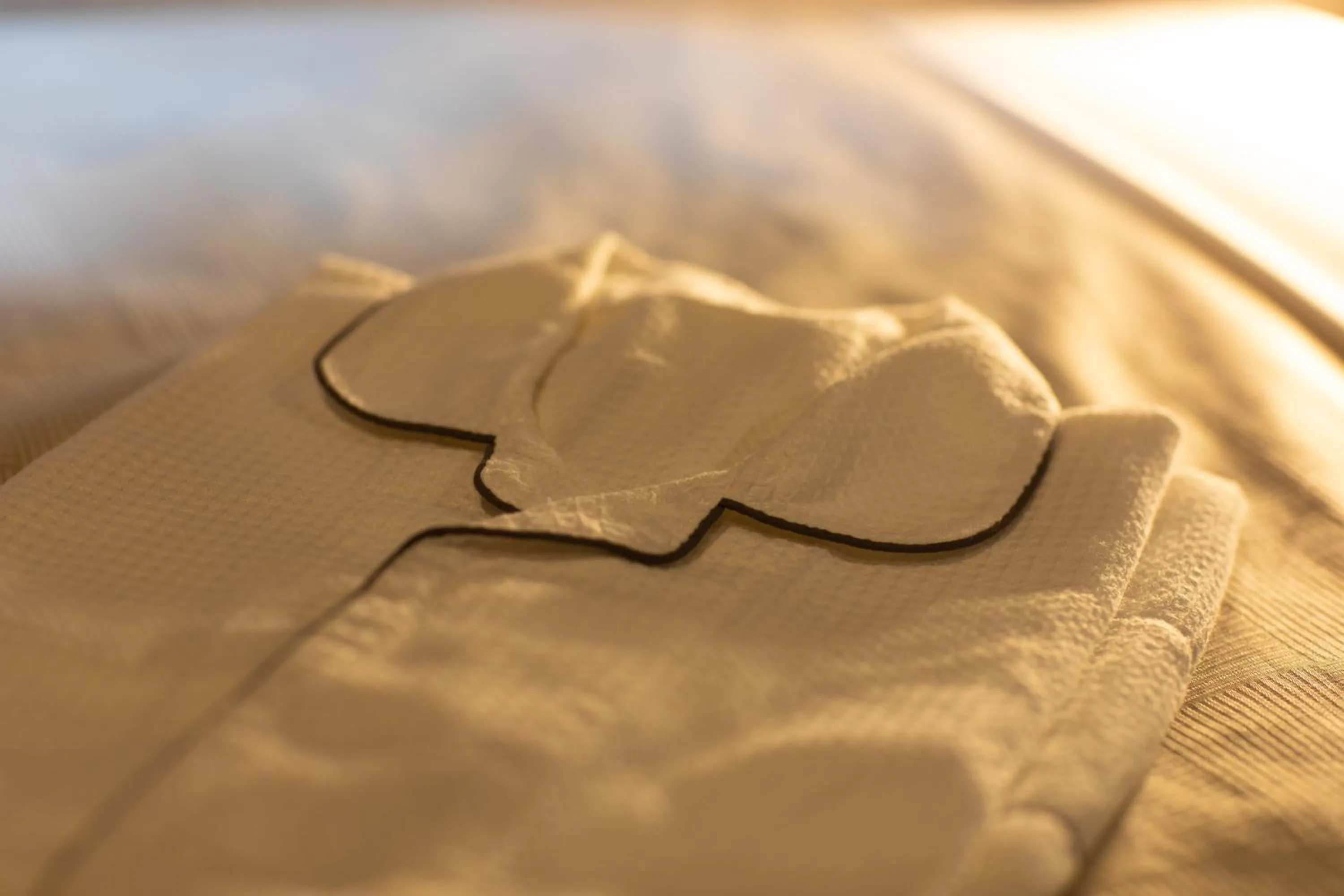 Other, Bed in Quintessa Hotel Osaka Shinsaibashi Comic & Books