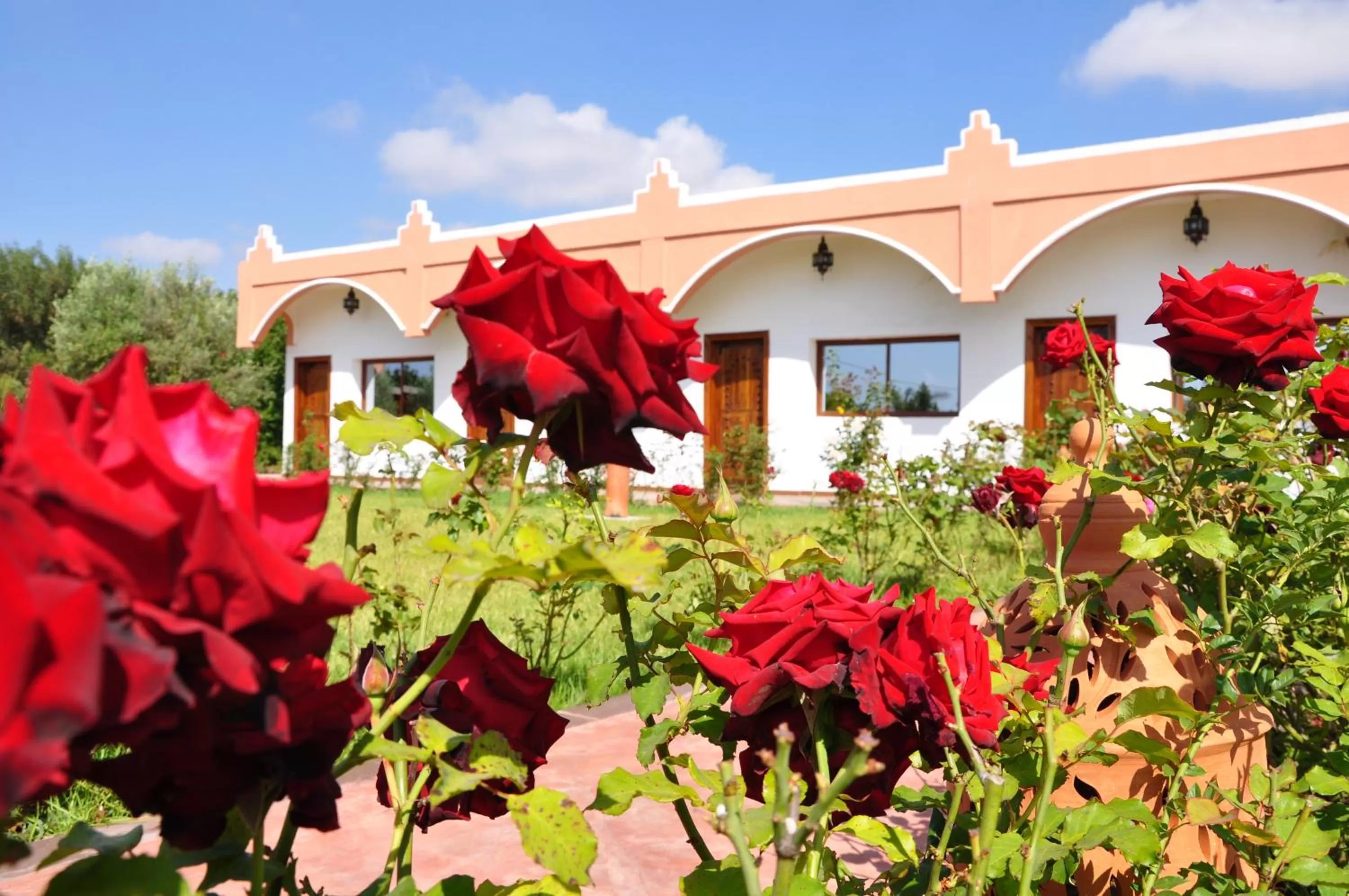 Garden view in Riad Hamdani