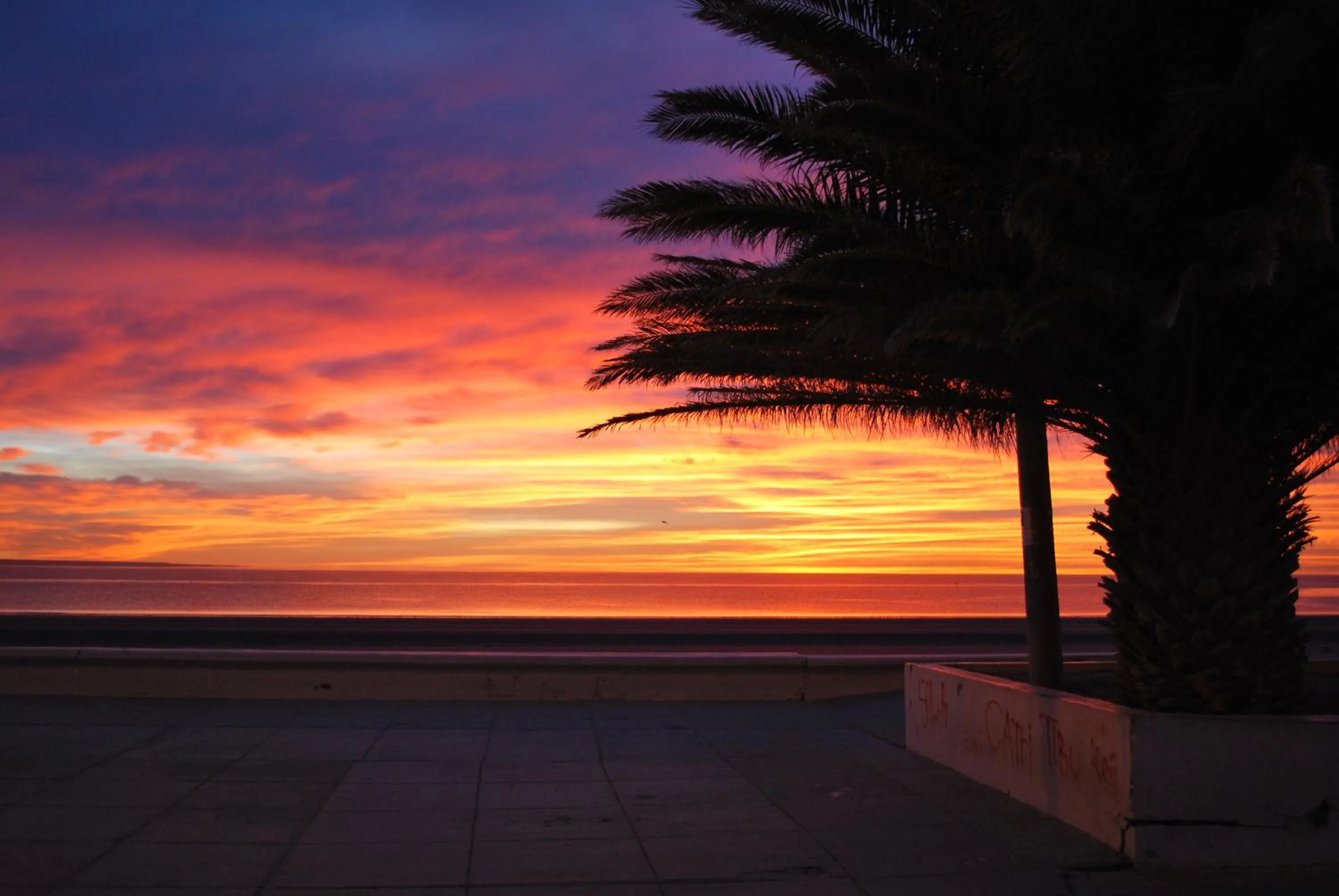 Natural landscape in Hotel Gran Madryn