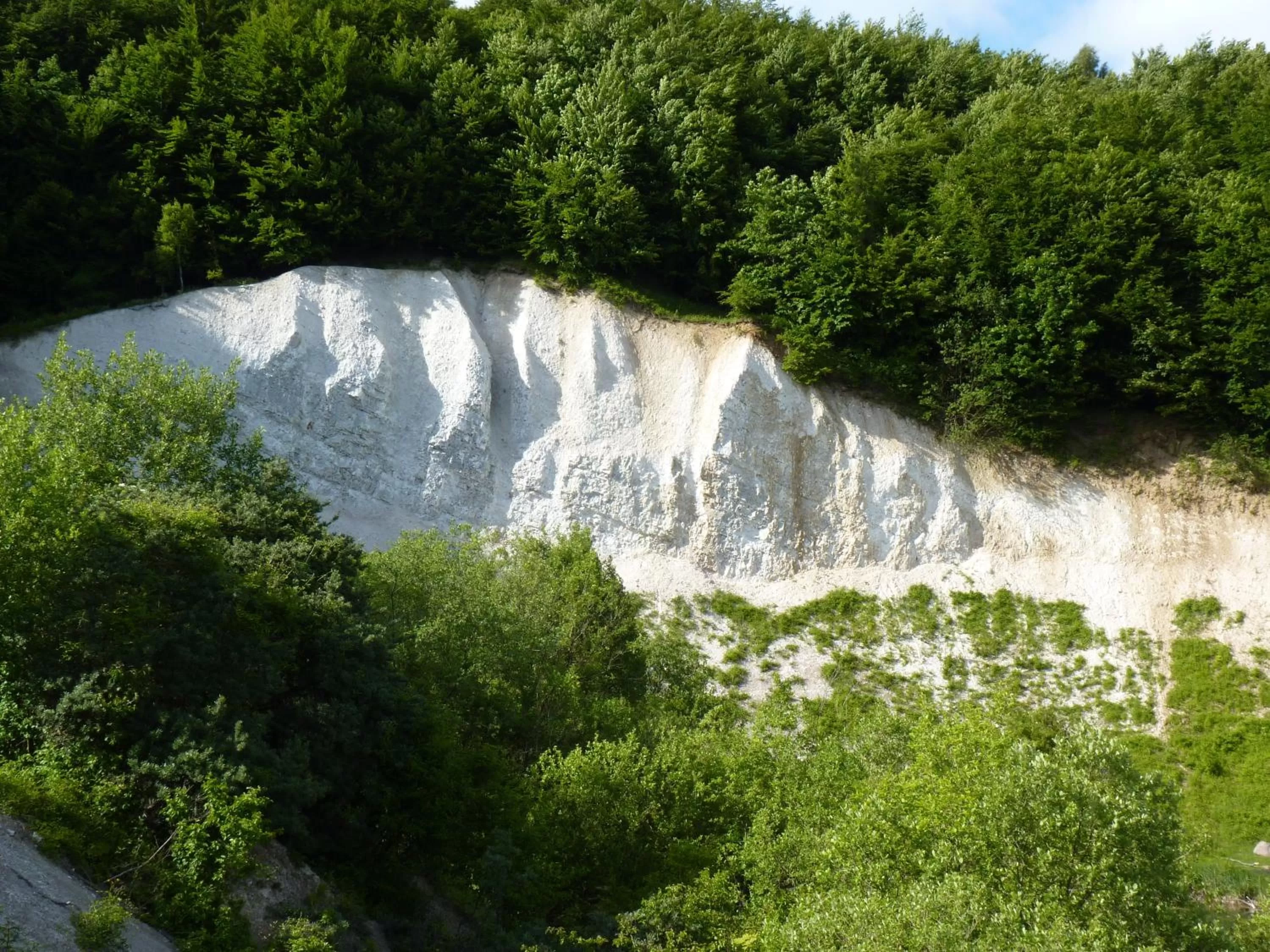 Natural landscape in Hotel Am Markt