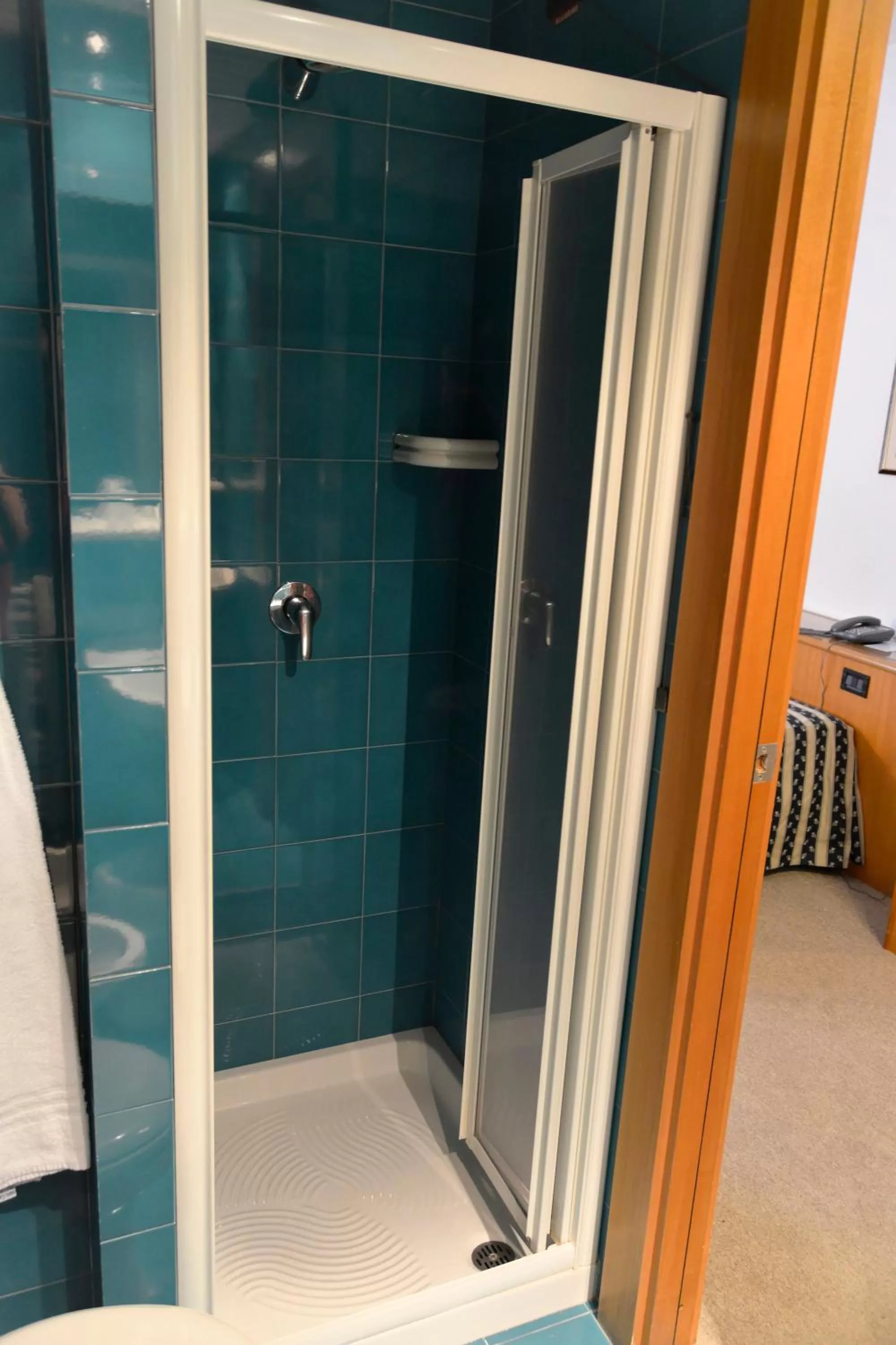 Shower in Grand Hotel Tiziano E Dei Congressi