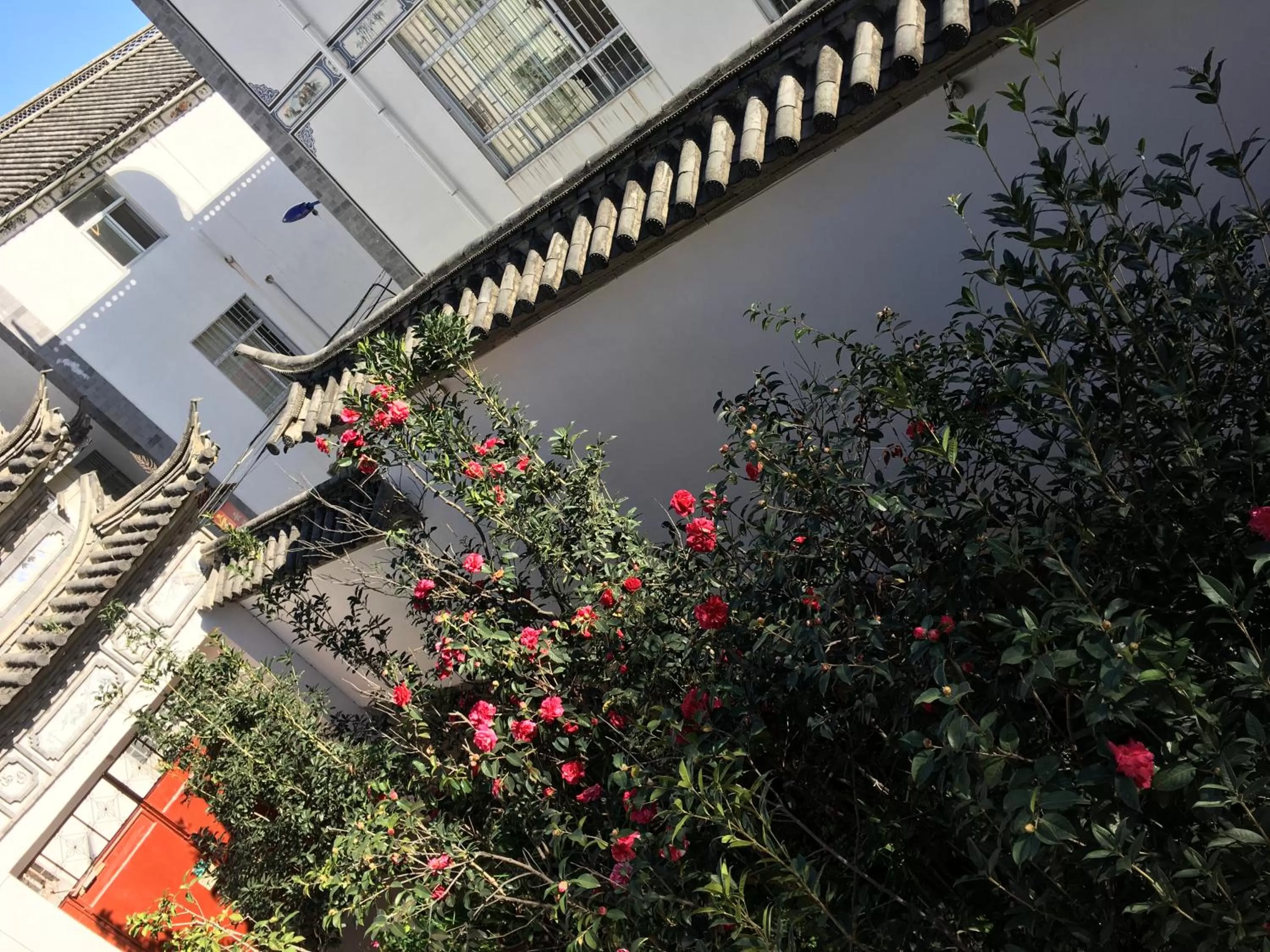 Garden view in The Lily Pad Inn