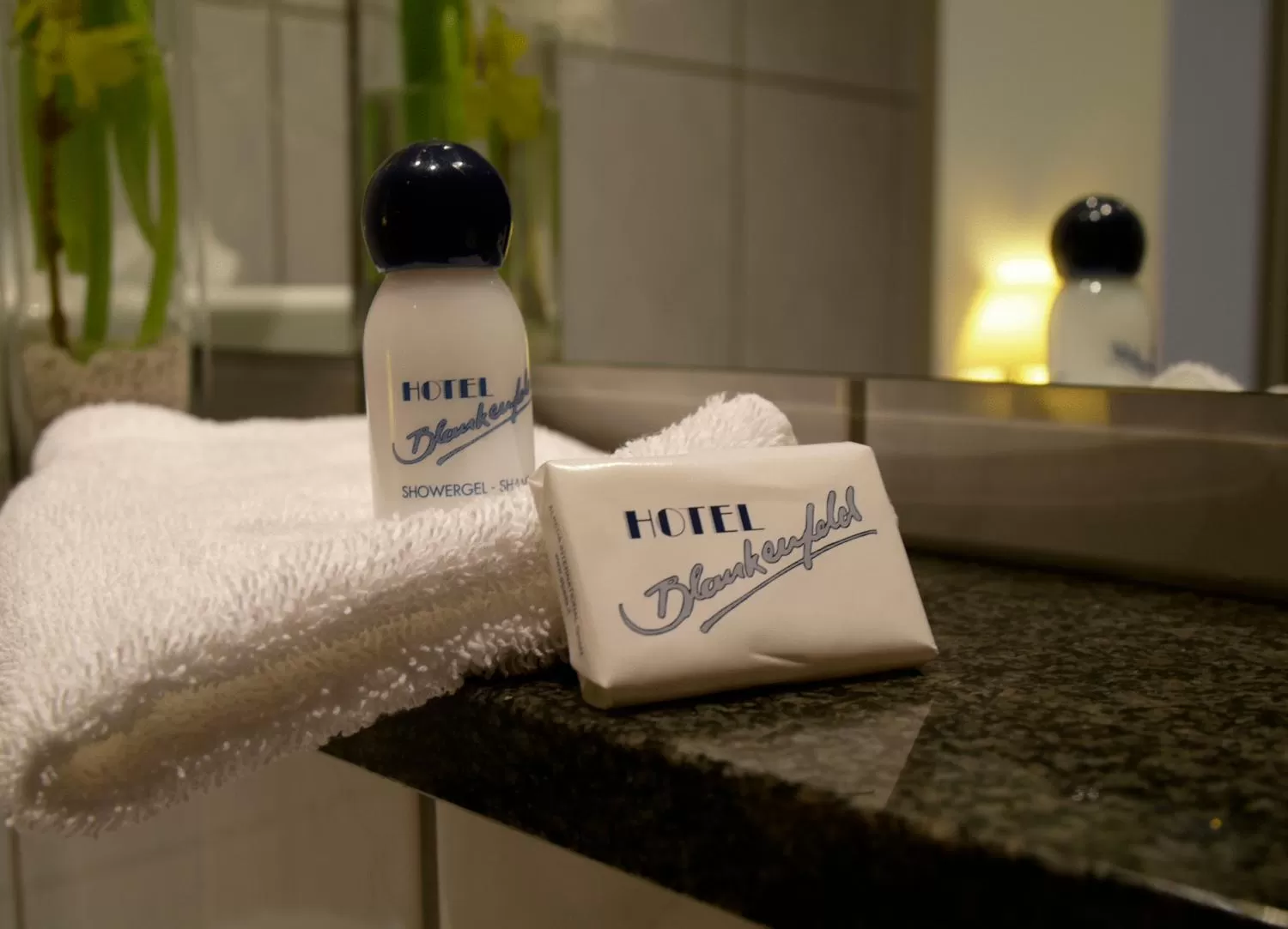 Bathroom in Hotel Blankenfeld