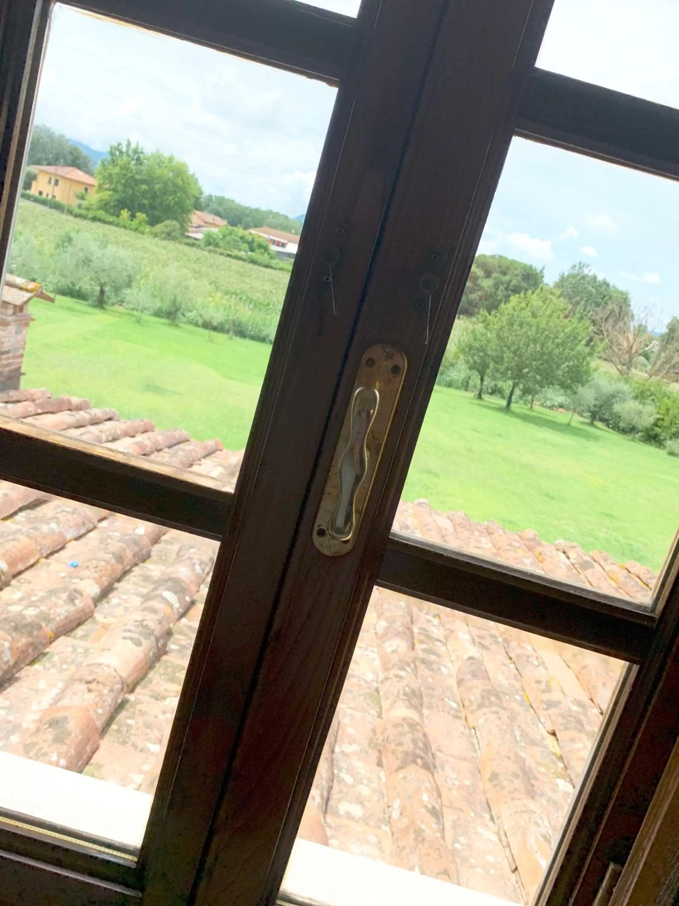 Garden view in B&B La Fornace del Sole