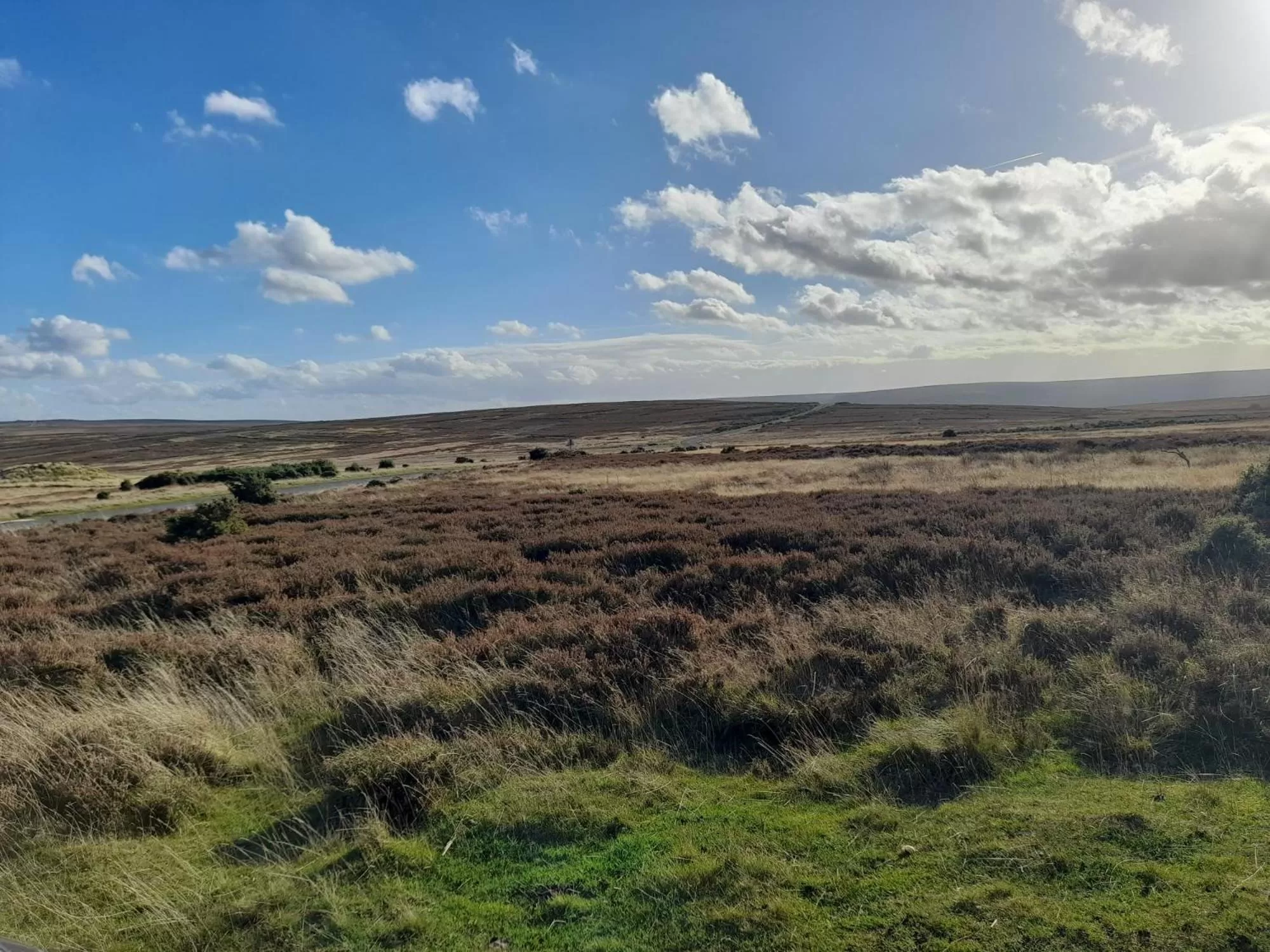 Natural landscape in Littlebeck