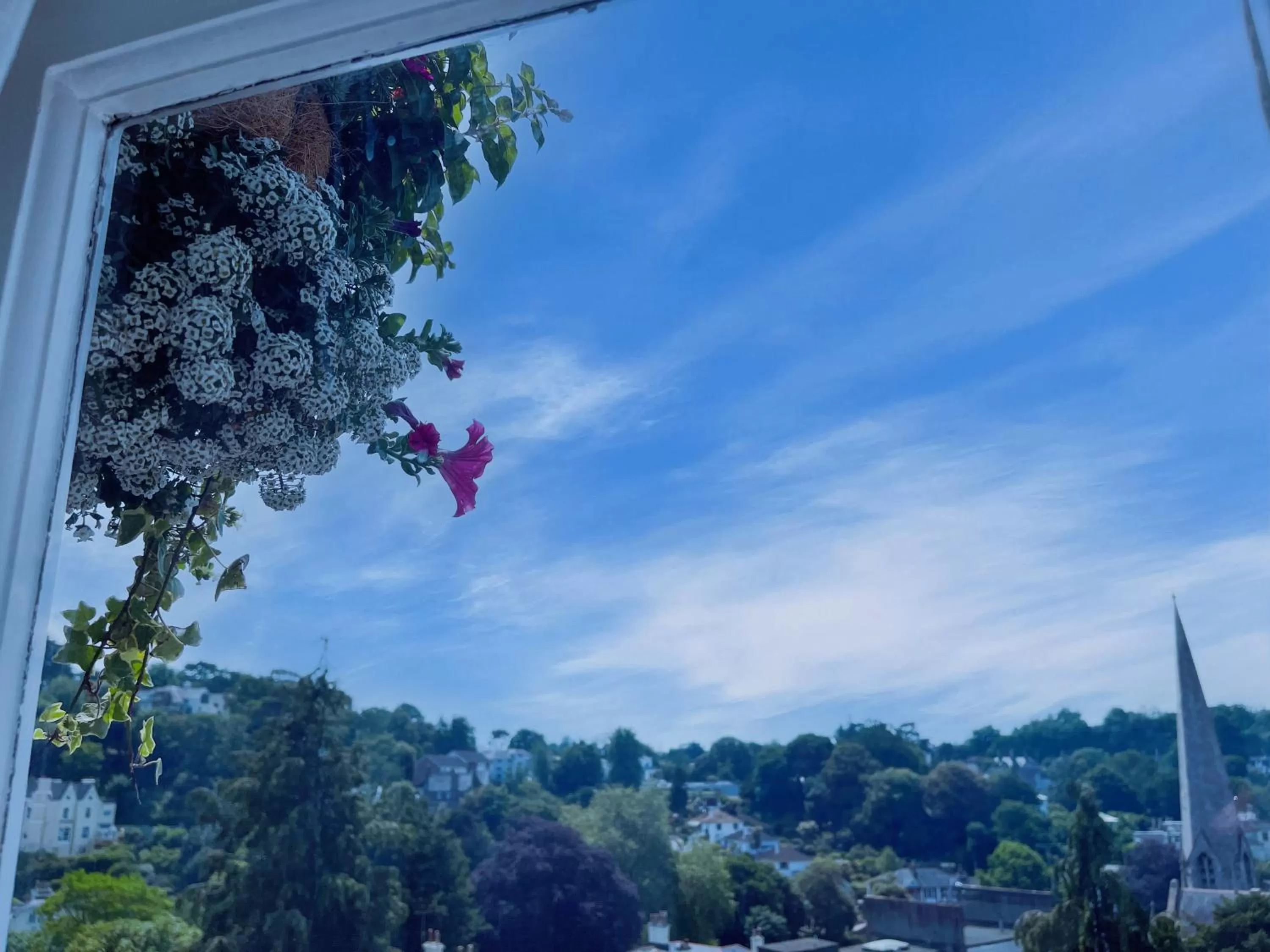 Garden view in The Robin Hill