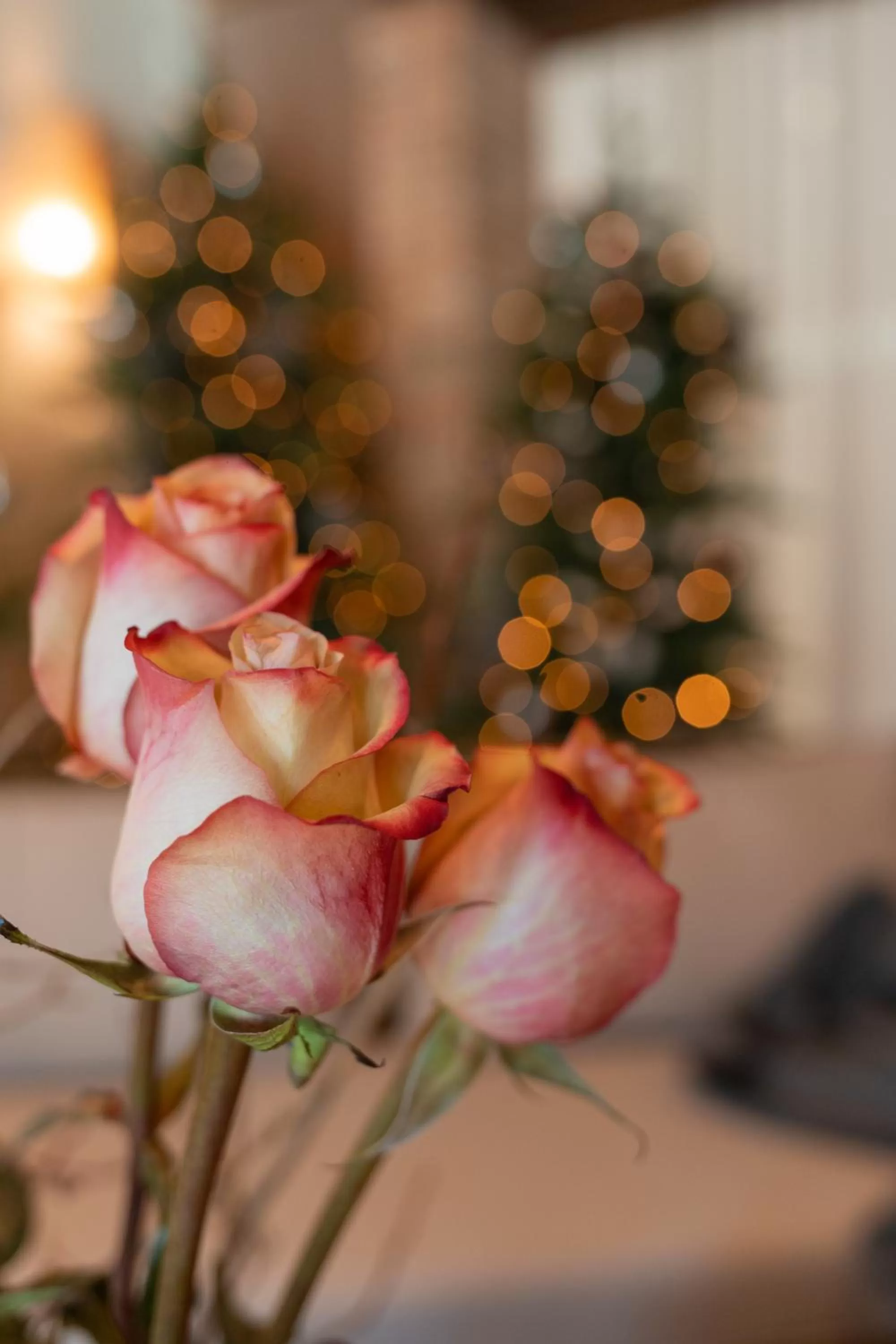 Decorative detail in Borghetto San Biagio Relais Agriturismo