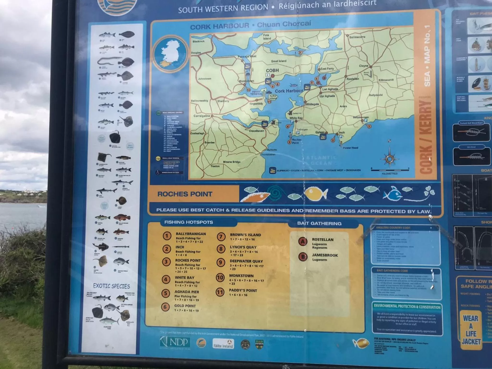 Fishing in Tranquil Water