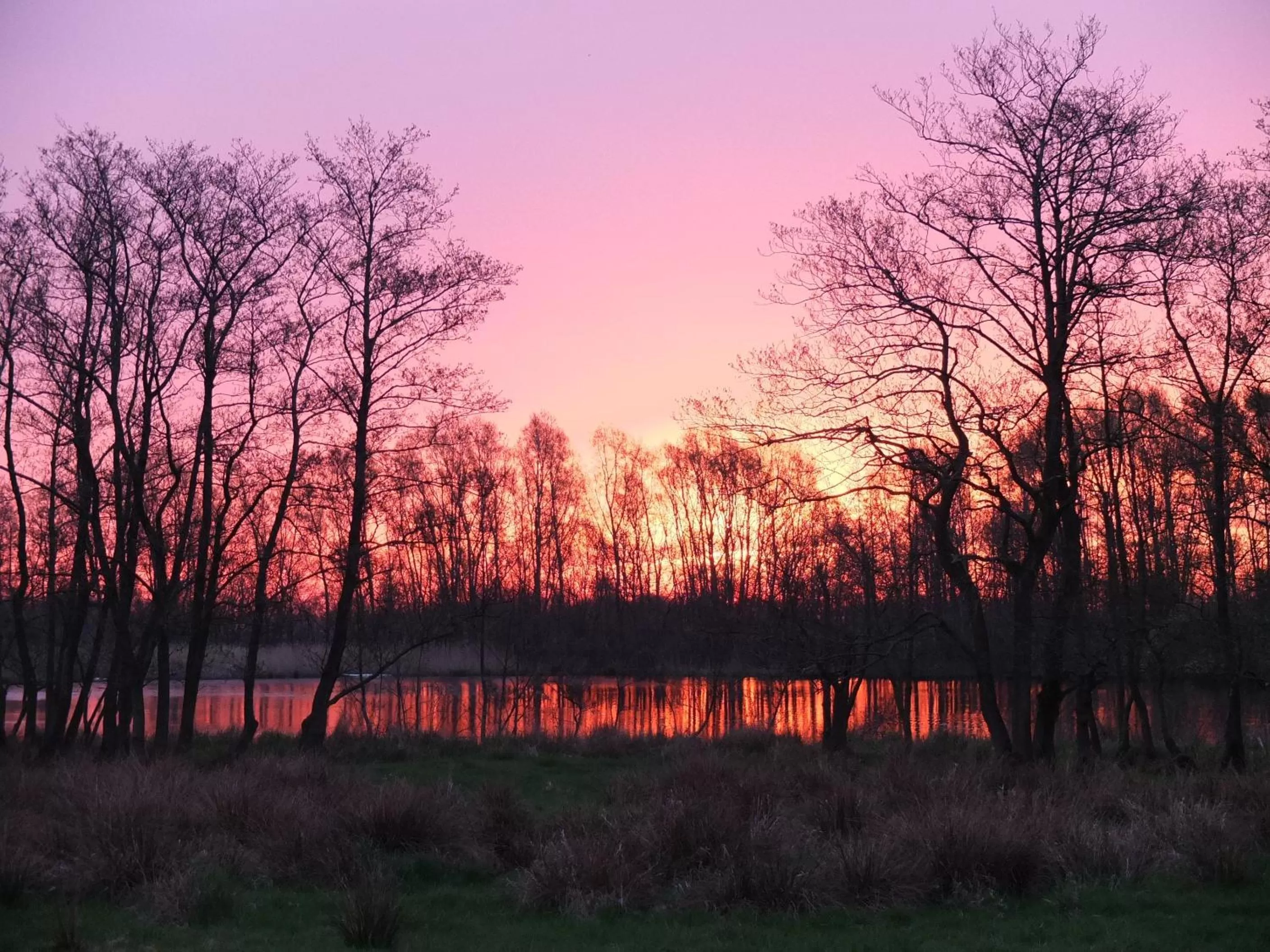 On site, Natural Landscape in De Wiede Blik