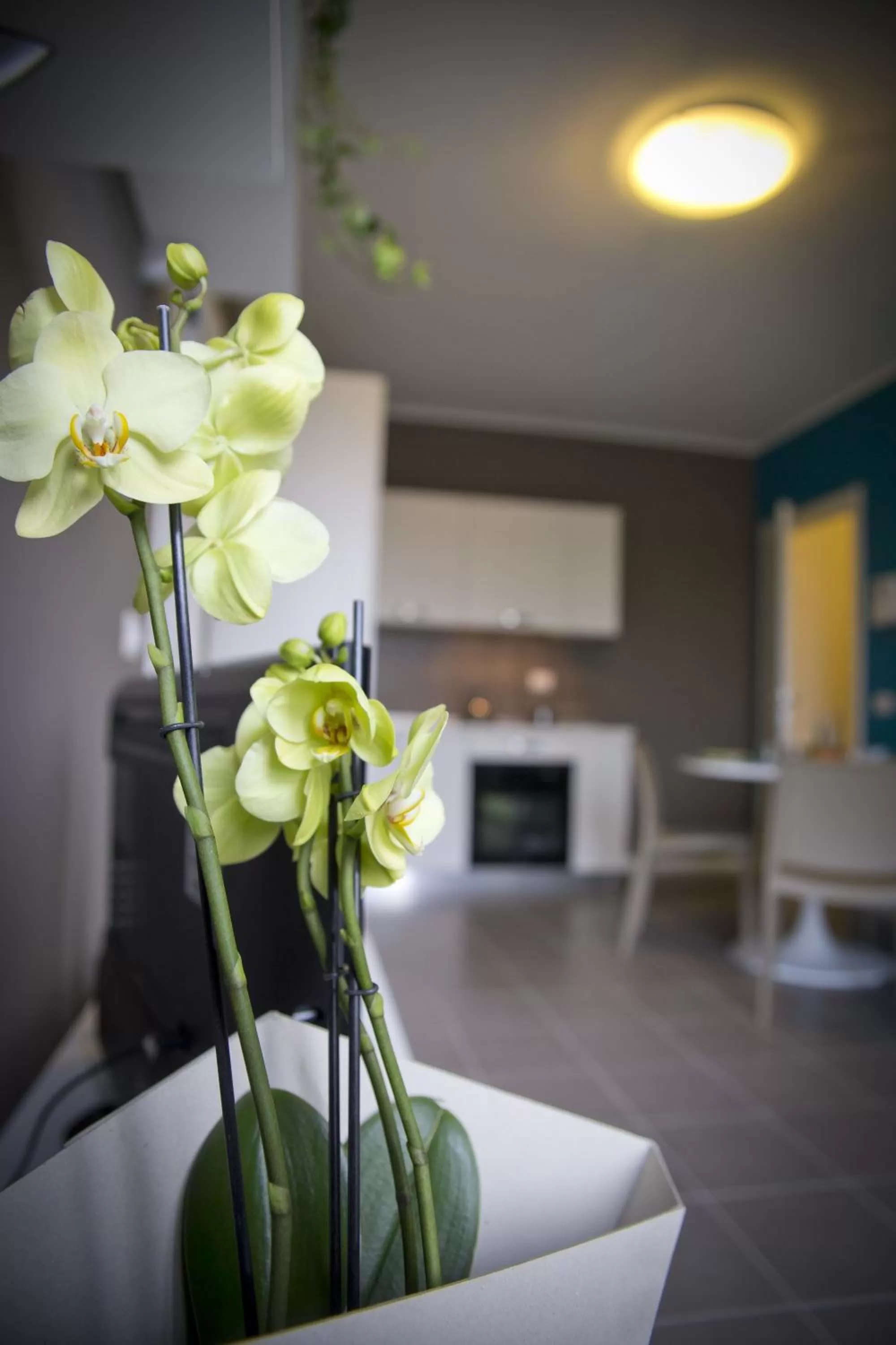 Decorative detail in Dreams Hotel Residenza Pianell 10