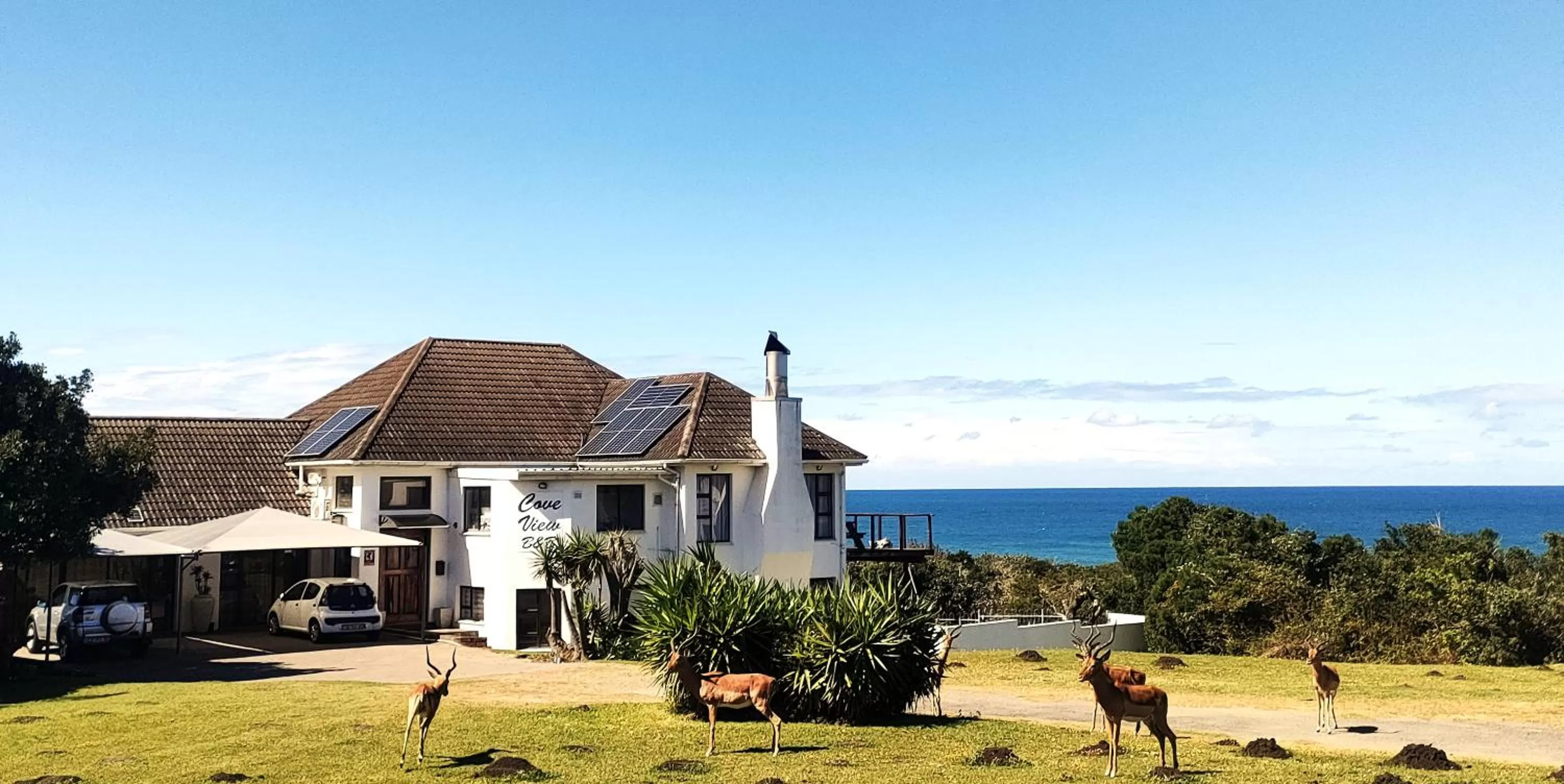 Property building in Cove View B&B