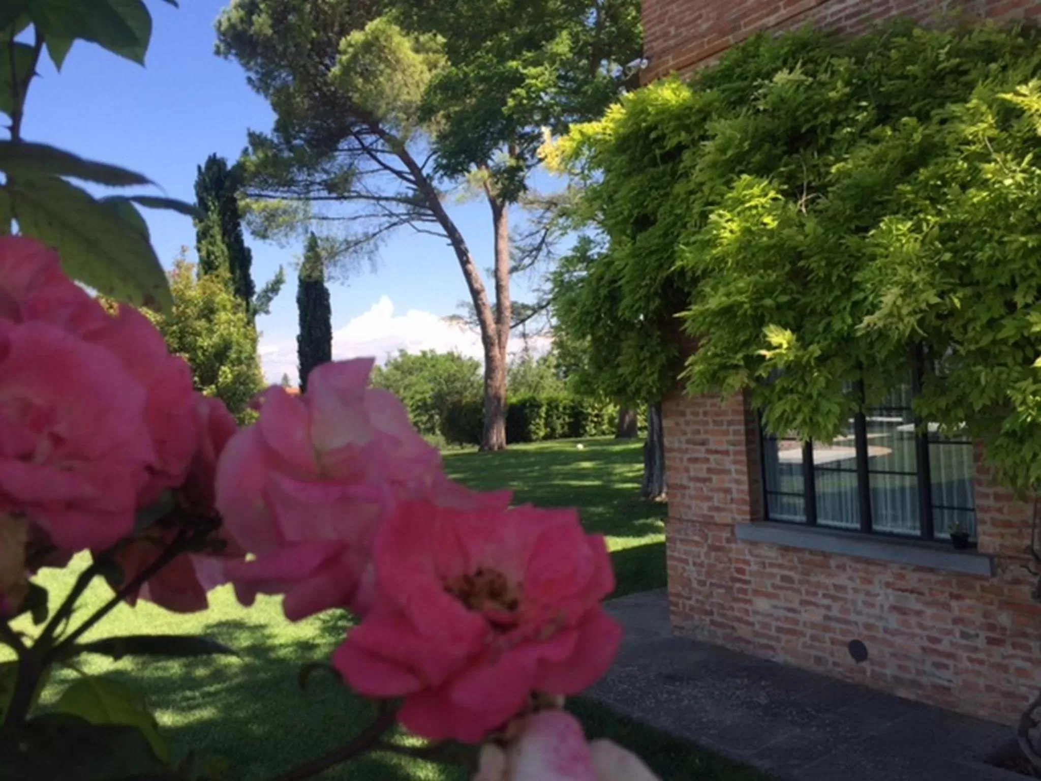 Property building, Garden in Relais Montemaggiore