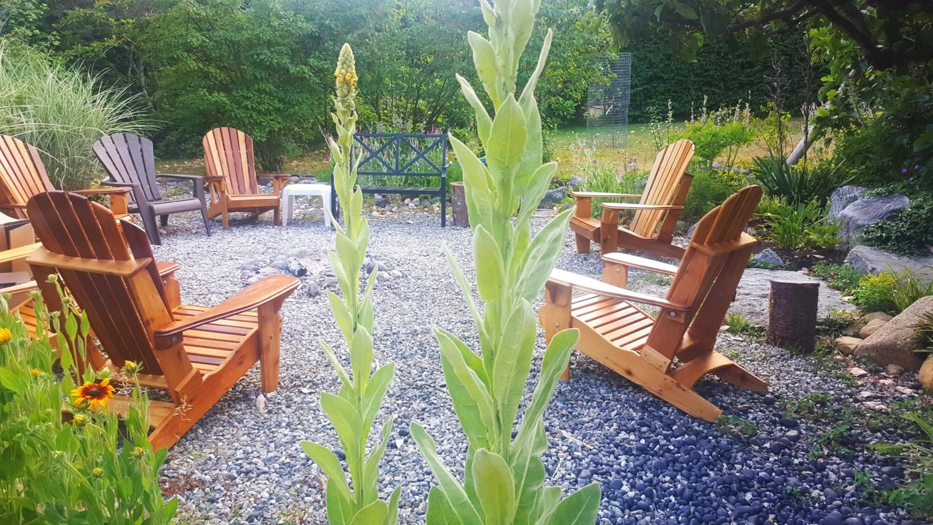 Garden in Secret Beach B&B Suites