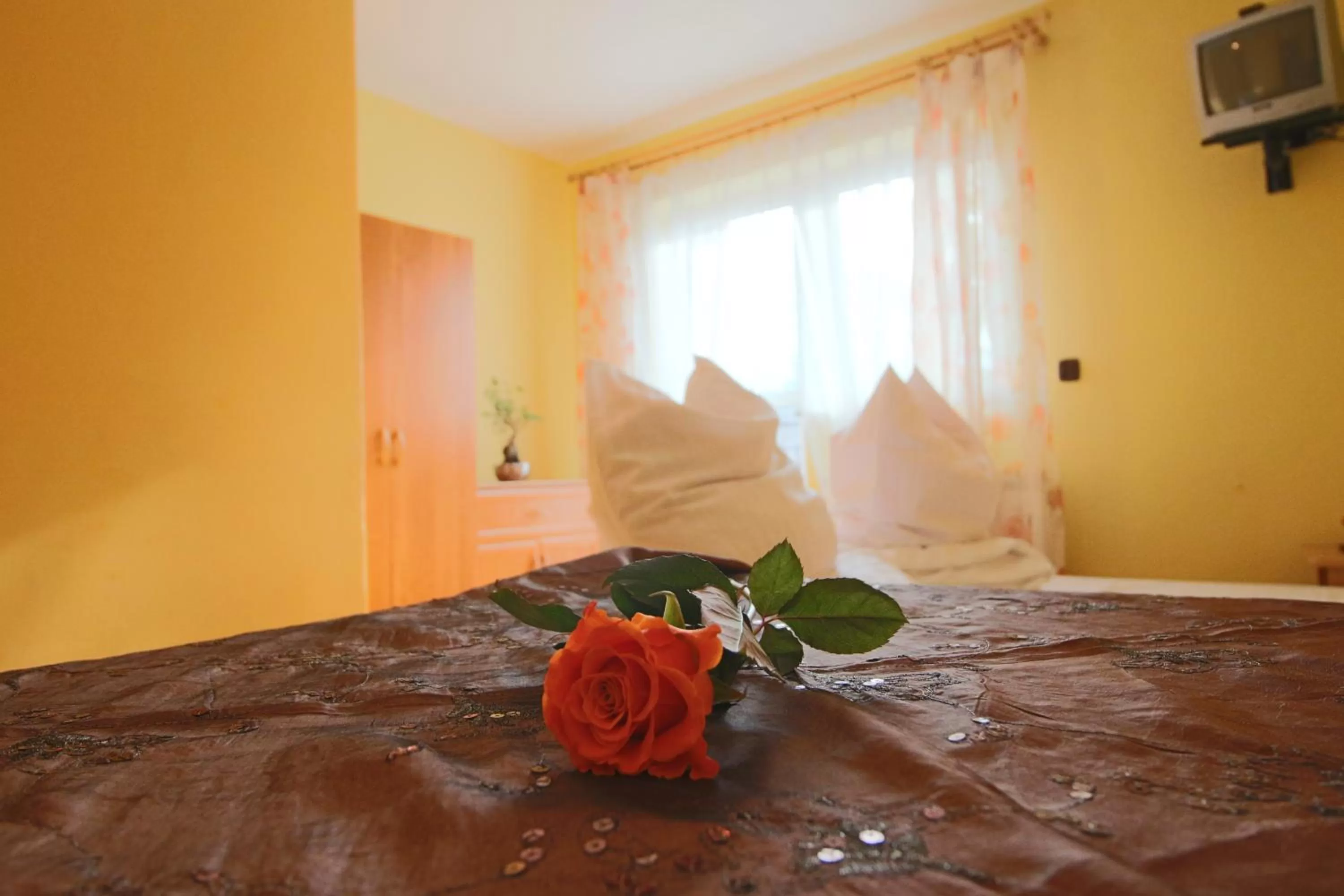 Twin Room in Willa Grzesiczek