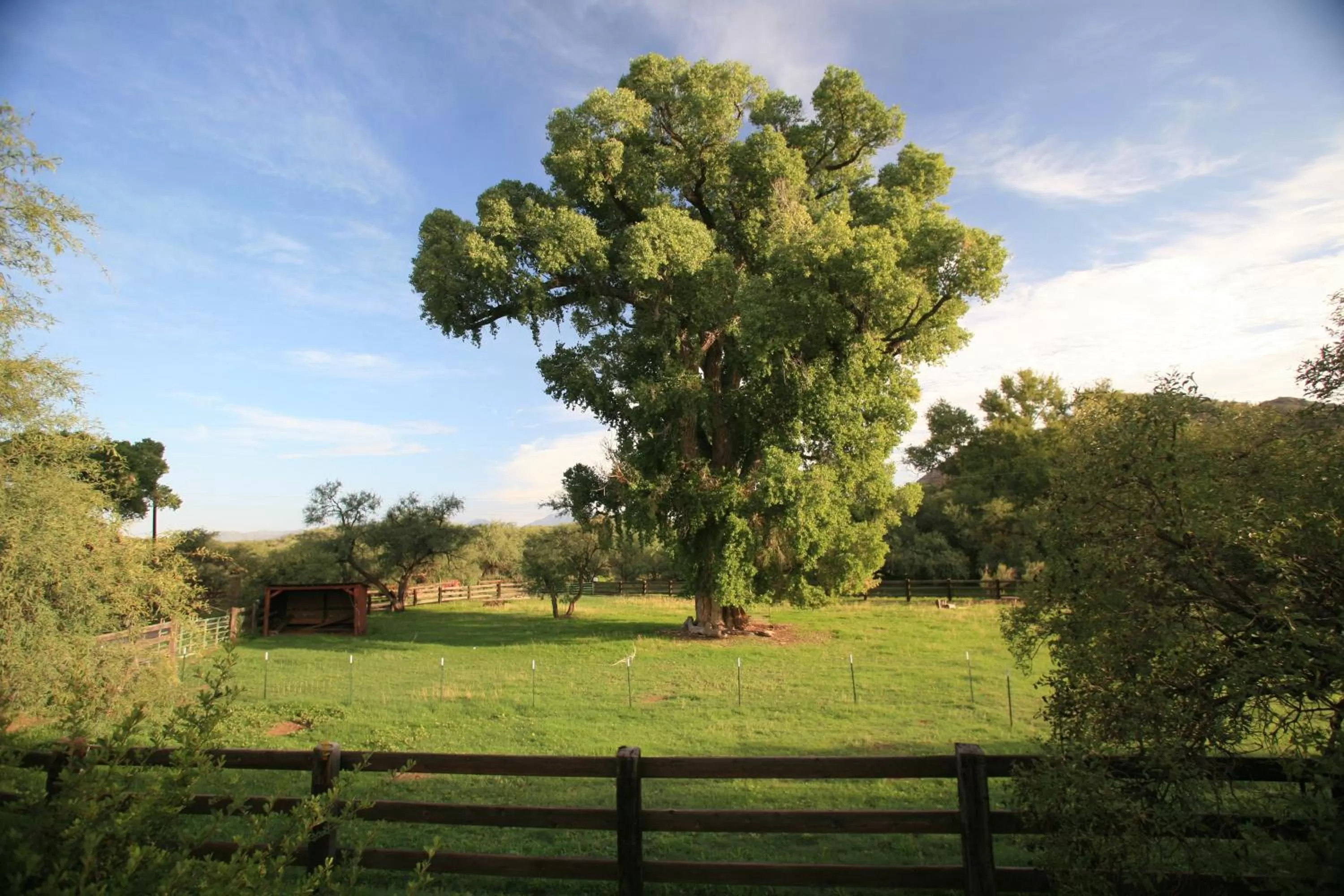 Nearby landmark in Spirit Tree Inn B&B