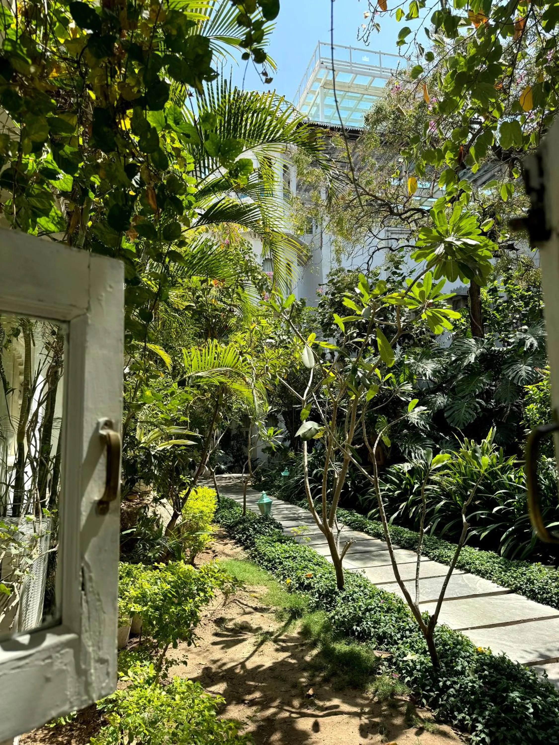 Garden in Hotel Udai Kothi
