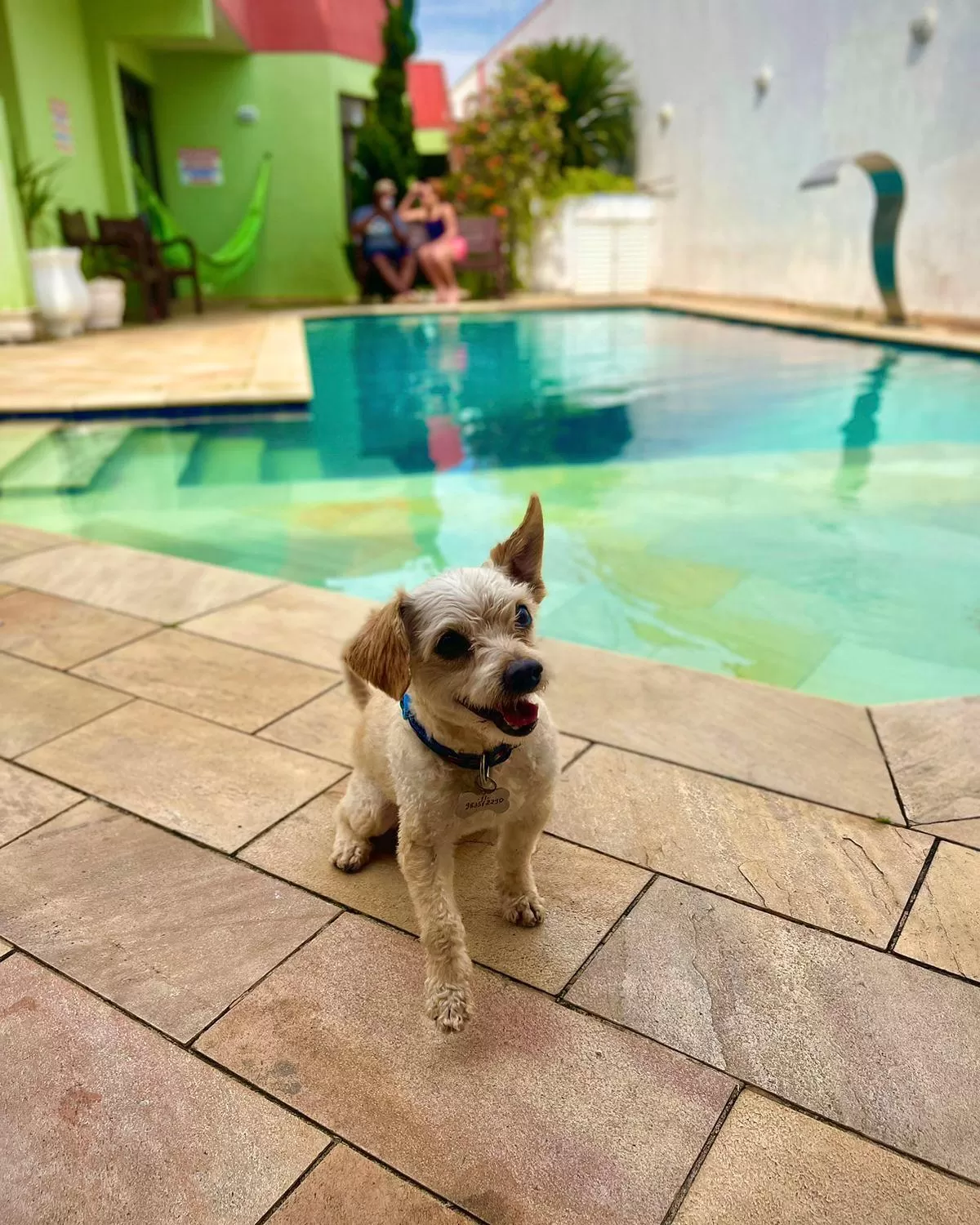 Hostel e Pousada Bahia Beach