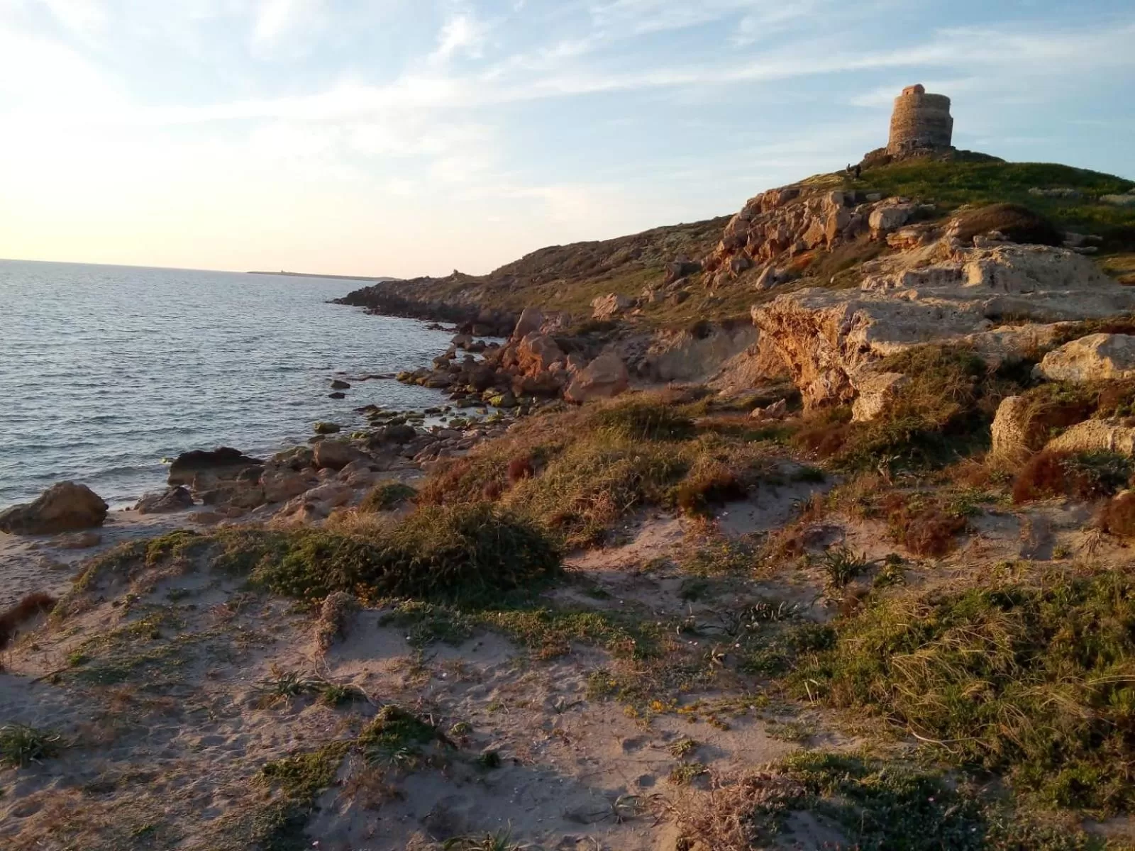 Beach, Natural Landscape in Bed & Breakfast Paui