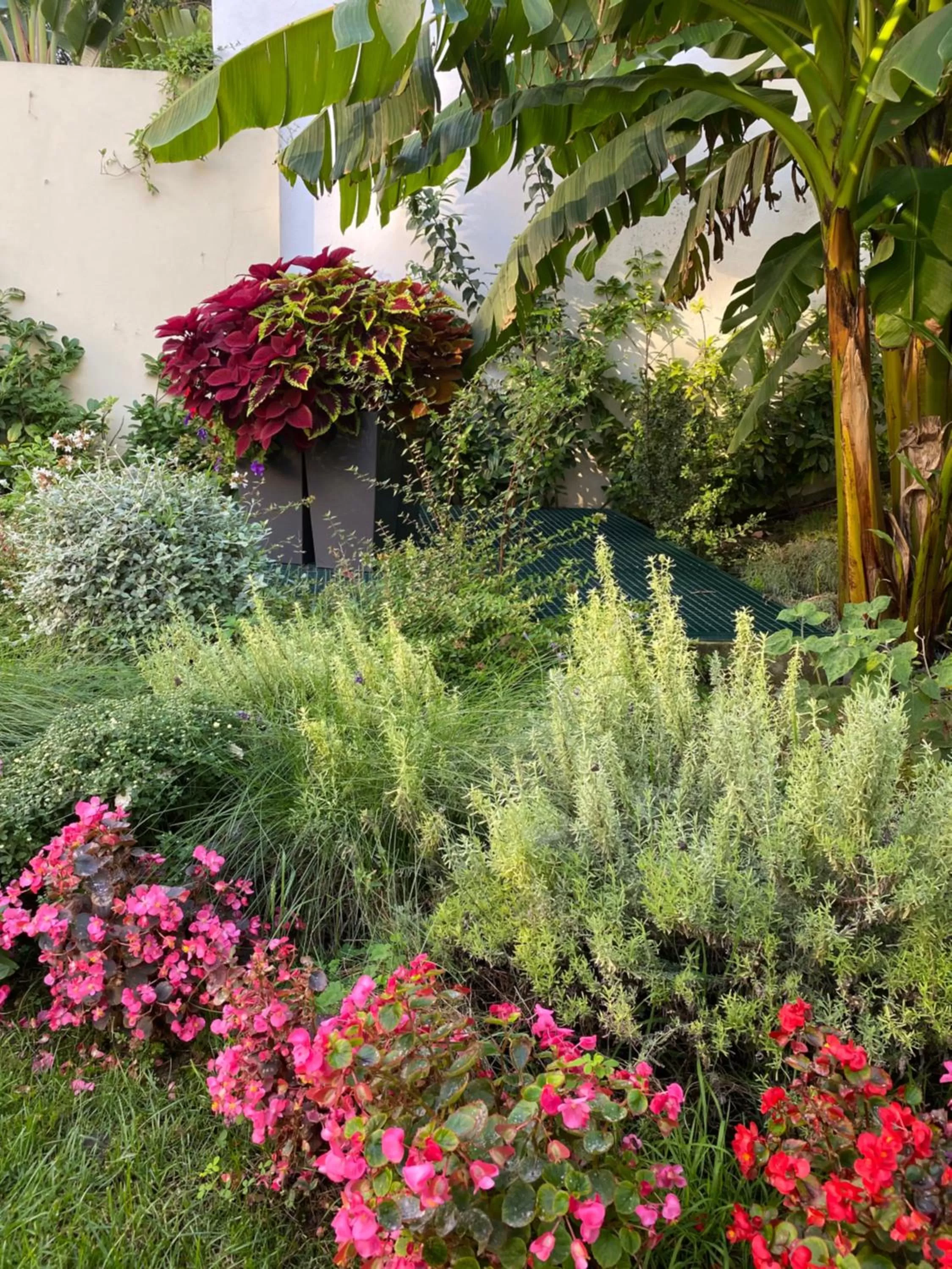 Property Building in TM Luxury Apartments Lisbon