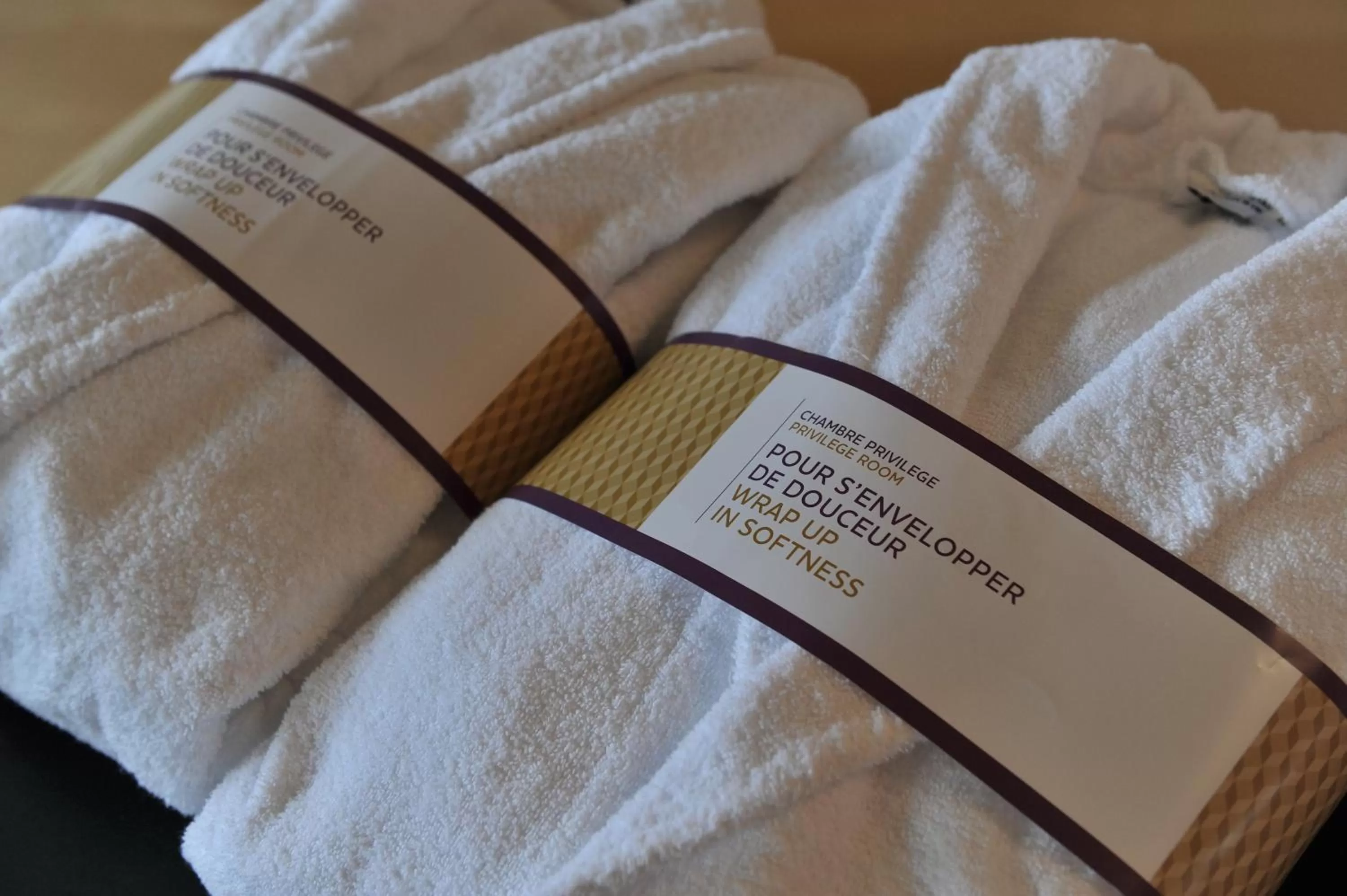 Decorative detail in Mercure Maurepas Saint Quentin