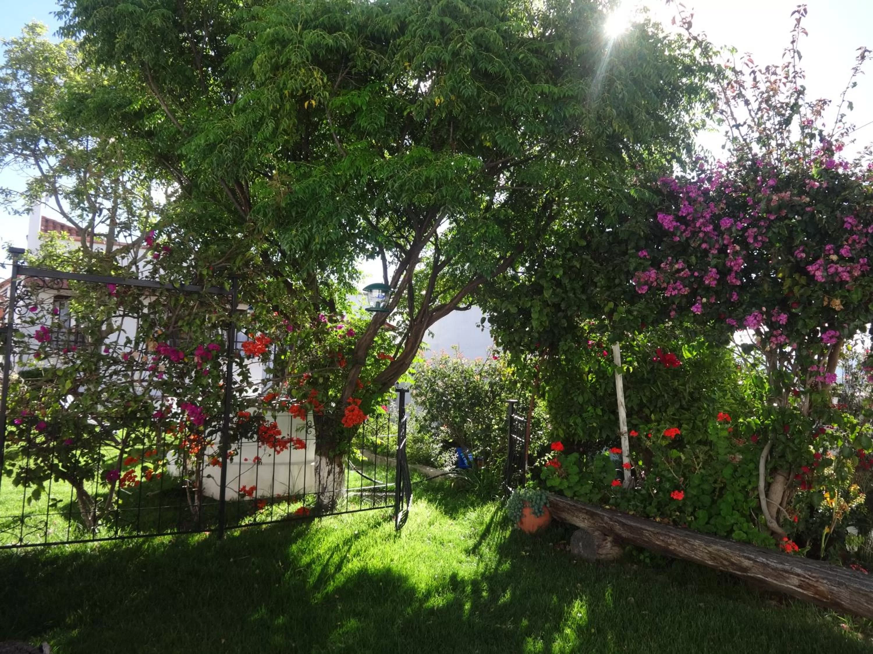 Natural landscape in El Jardin De Su Merced B&B