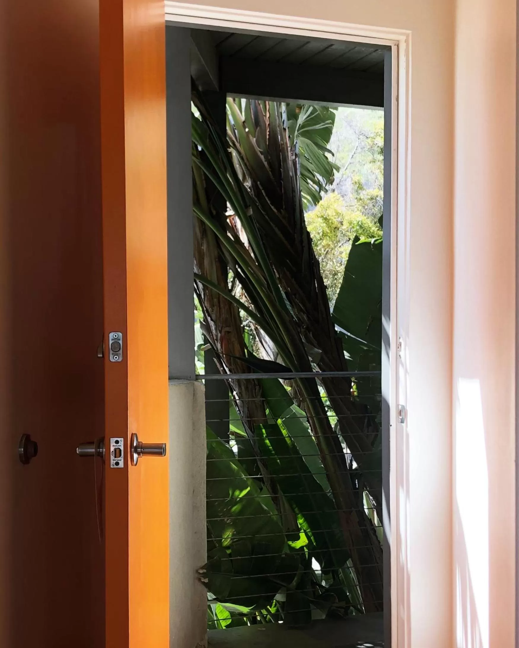 Garden view in The M Malibu