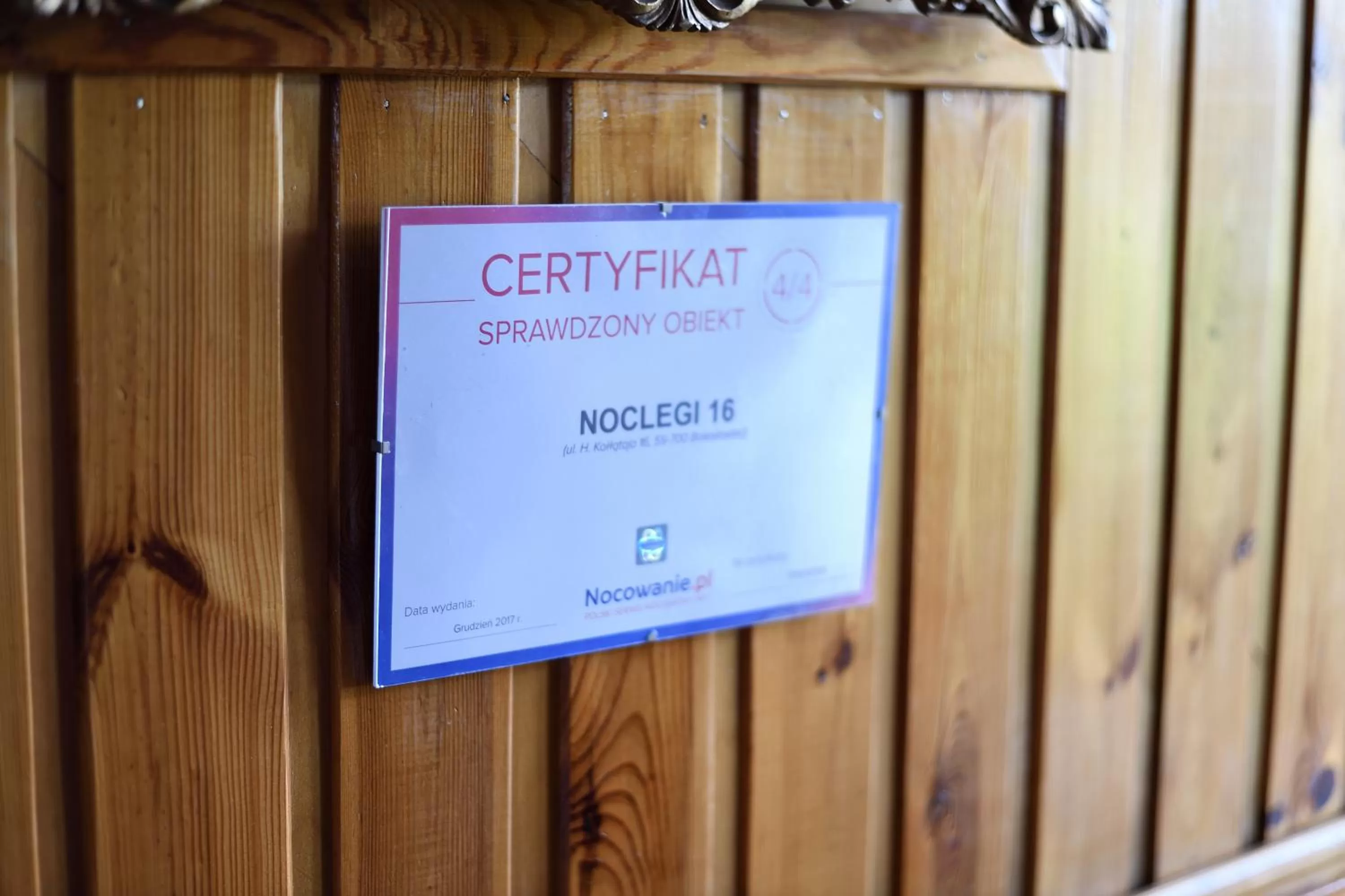 Certificate/Award in Noclegi16