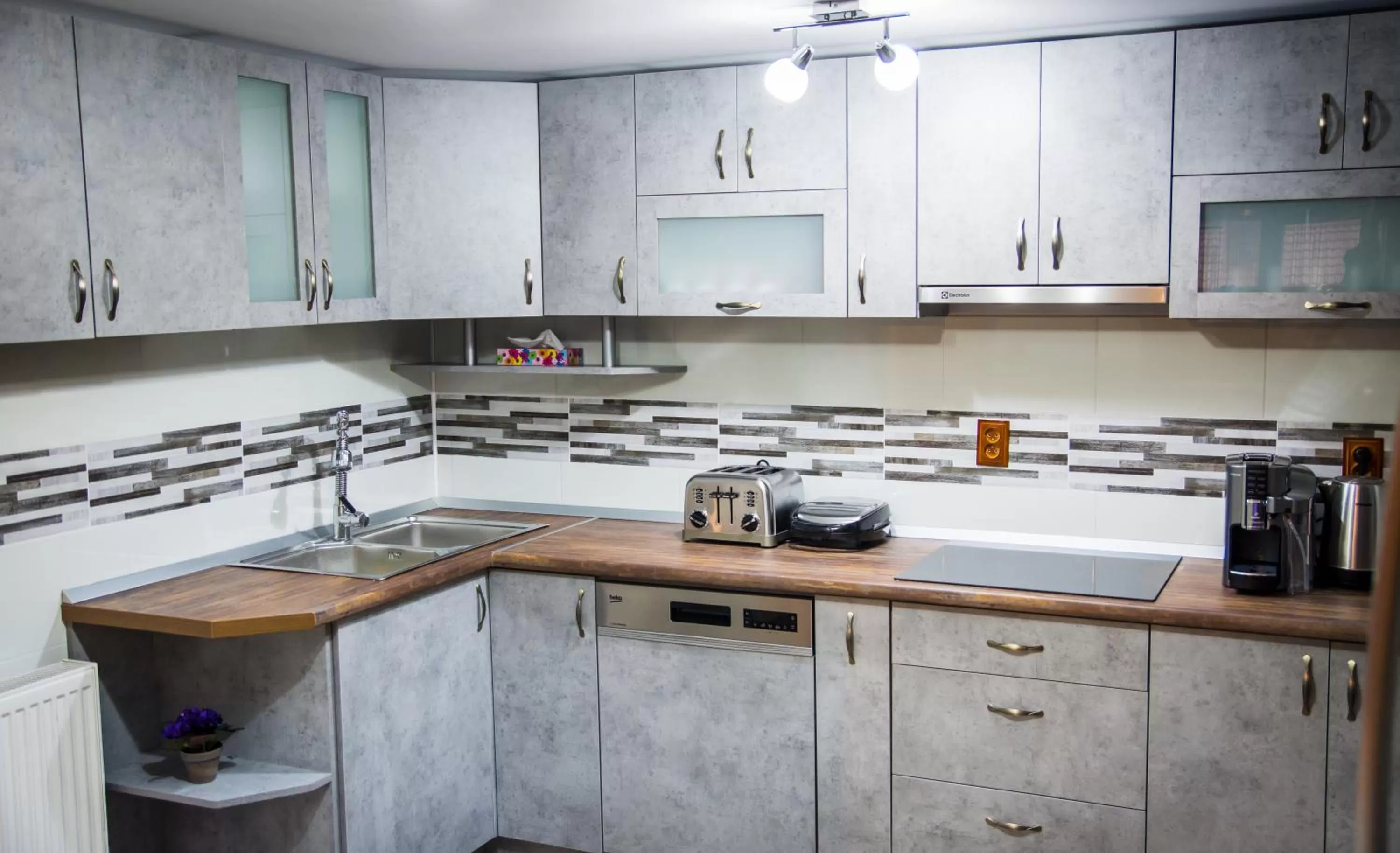 Property building, Kitchen/Kitchenette in Pensiunea SilvAnka