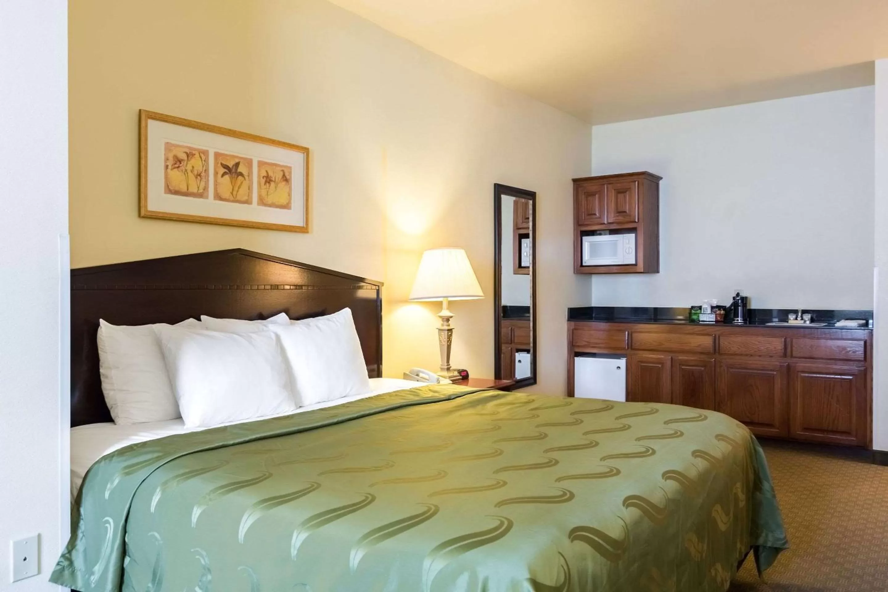 Bedroom, Bed in Quality Inn & Suites of Alma - Northeast from Fort Smith